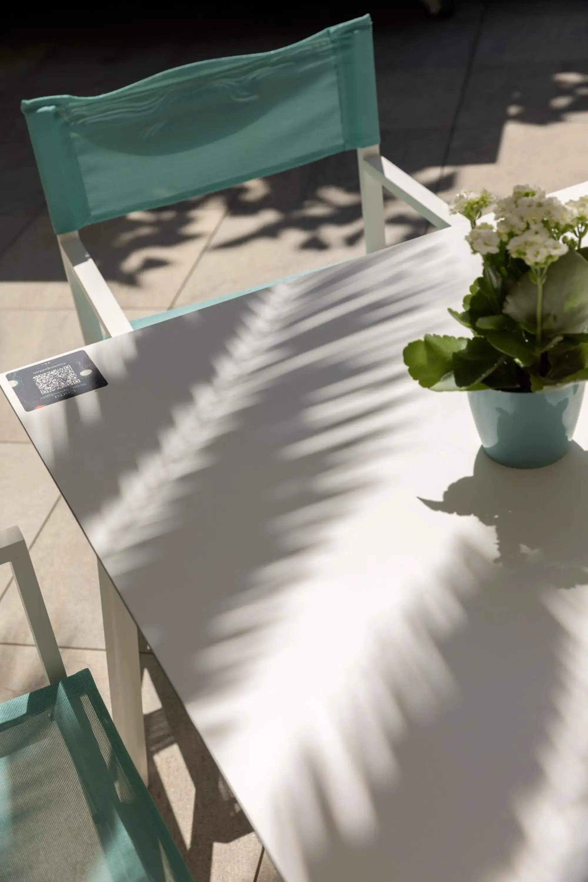 Restaurant/places to eat in Bordoy Cosmopolitan Restaurant/places to eat in Bordoy Cosmopolitan