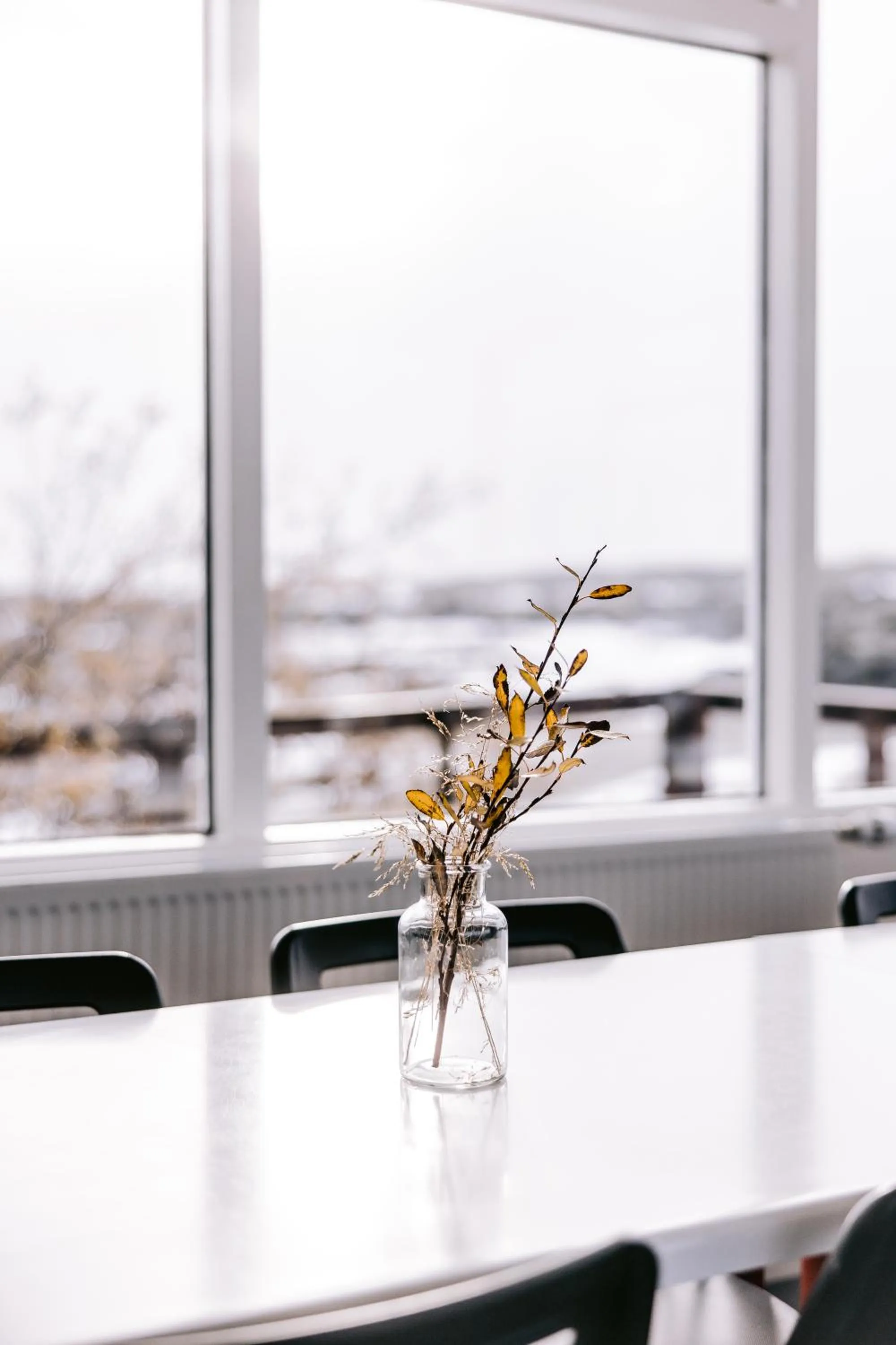 Communal kitchen in Hlid Hostel