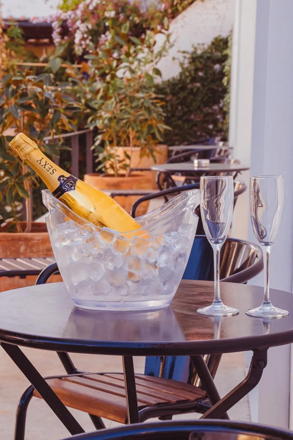 Alcoholic drinks in The Late Birds Lisbon - Gay Urban Resort