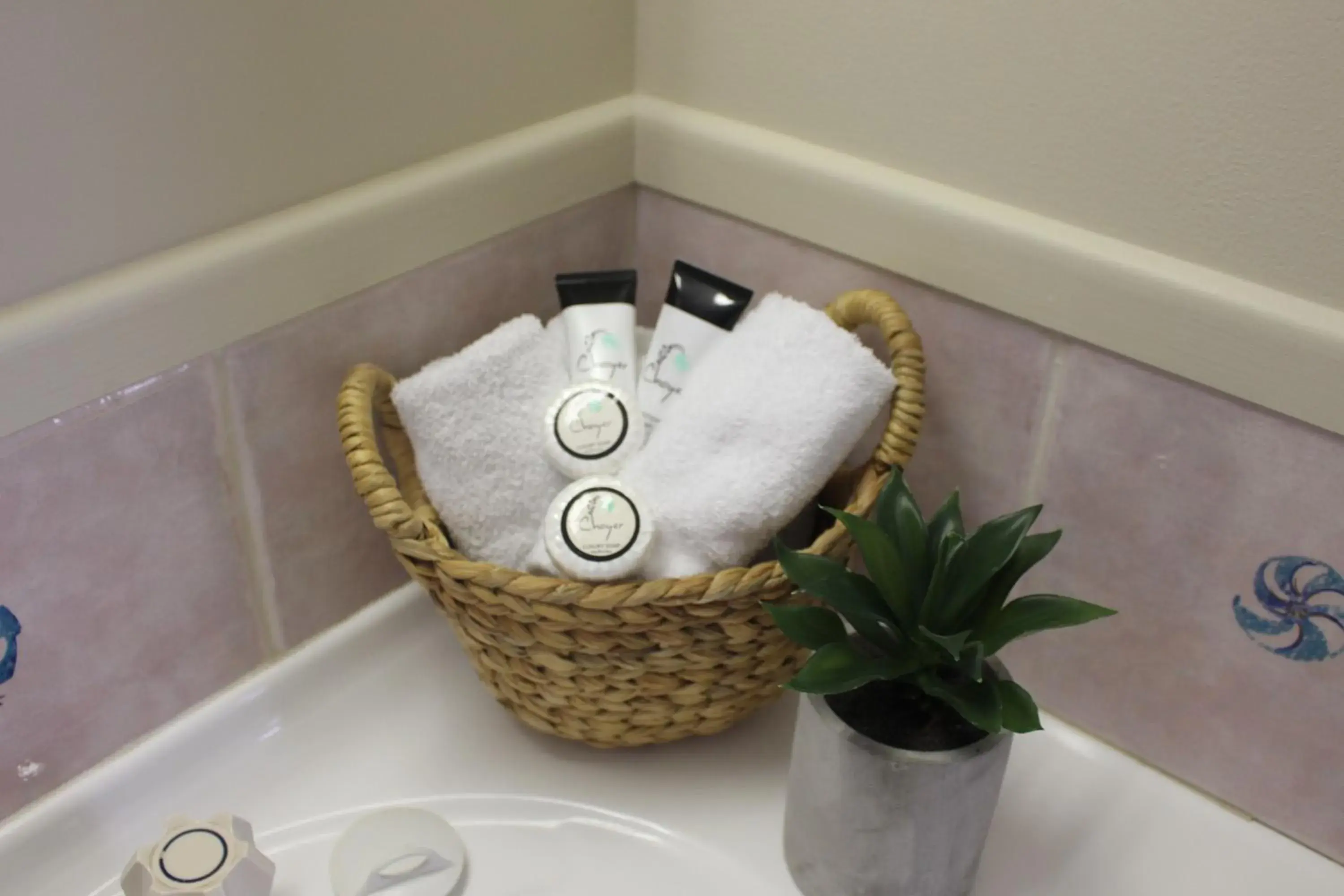 Deluxe Twin Room in Motel Northview Mackay Deluxe Twin Room in Motel Northview Mackay