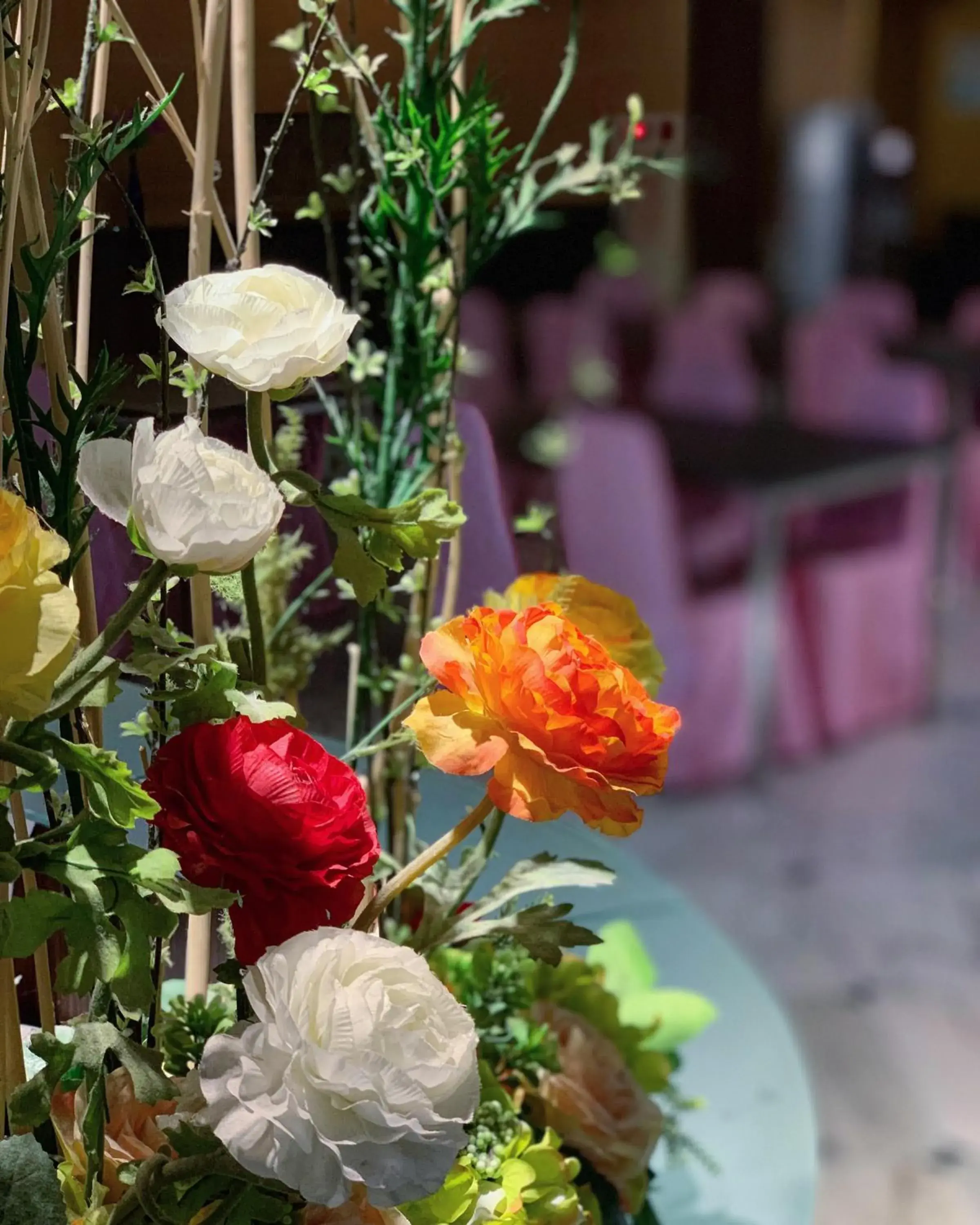 Garden view in Ever Delightful Business Hotel Garden view in Ever Delightful Business Hotel