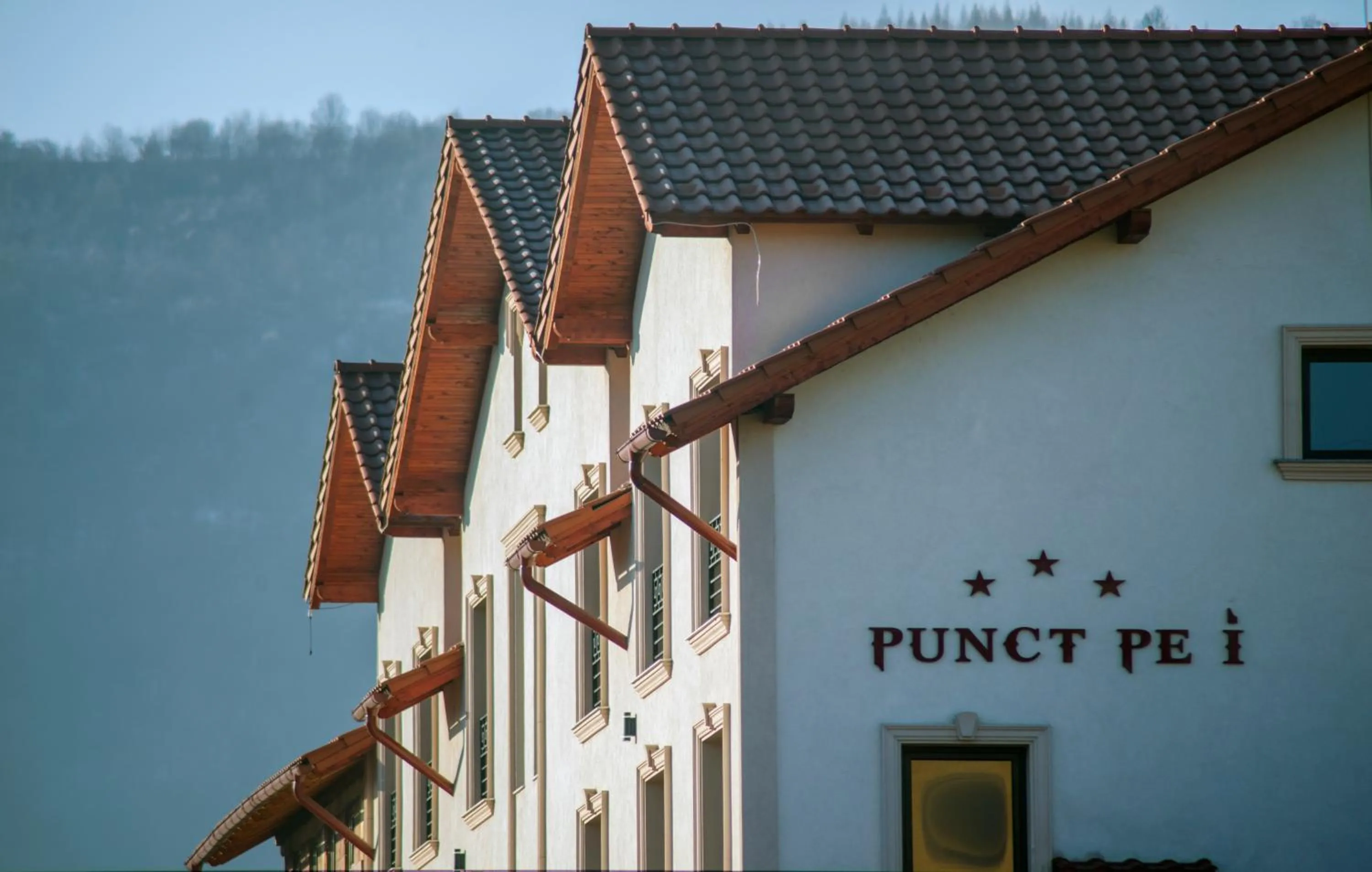 Day in Aparthotel Punct pe i