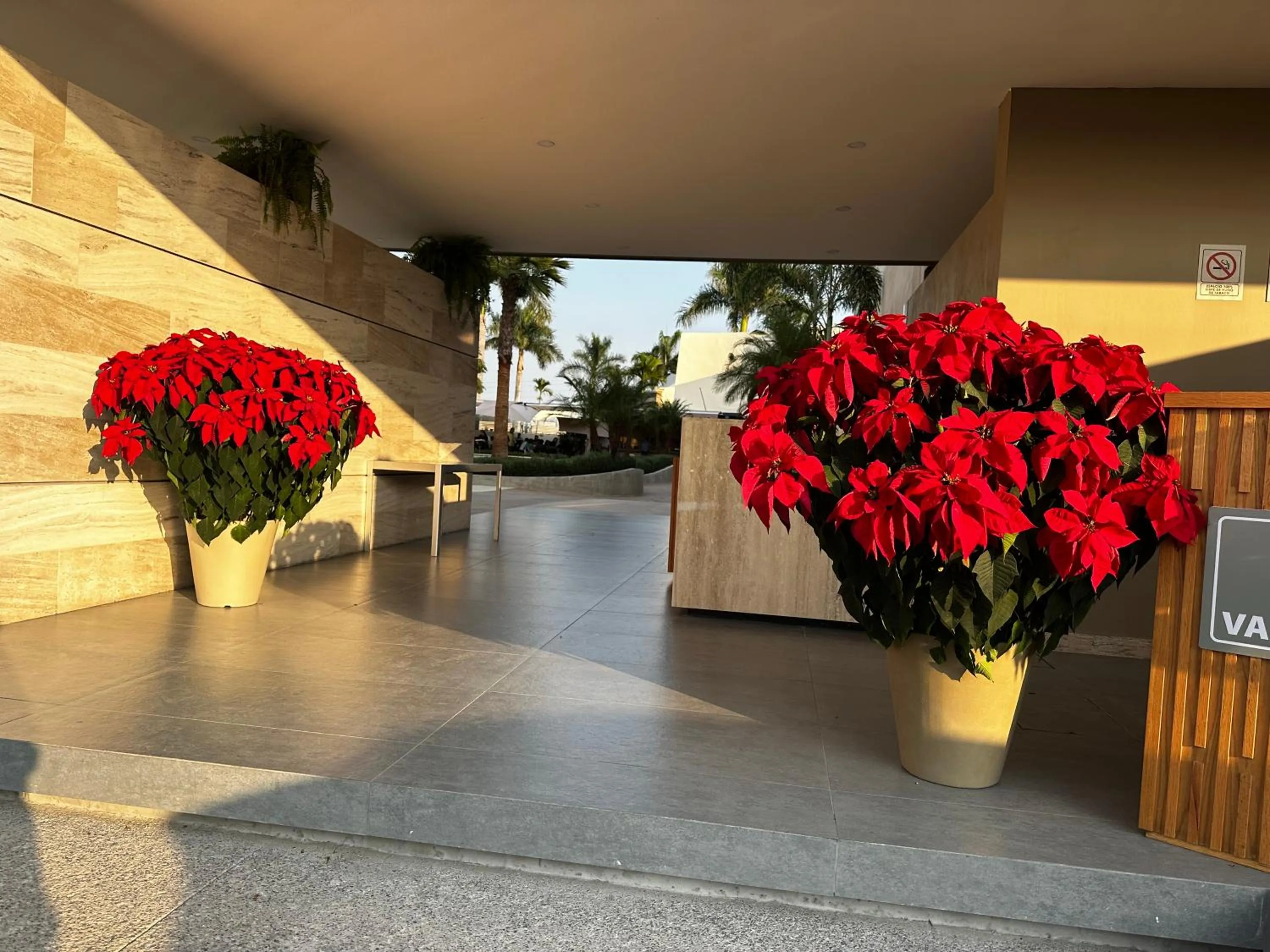 Lobby or reception in Casa Begonias Hotel mas Villas