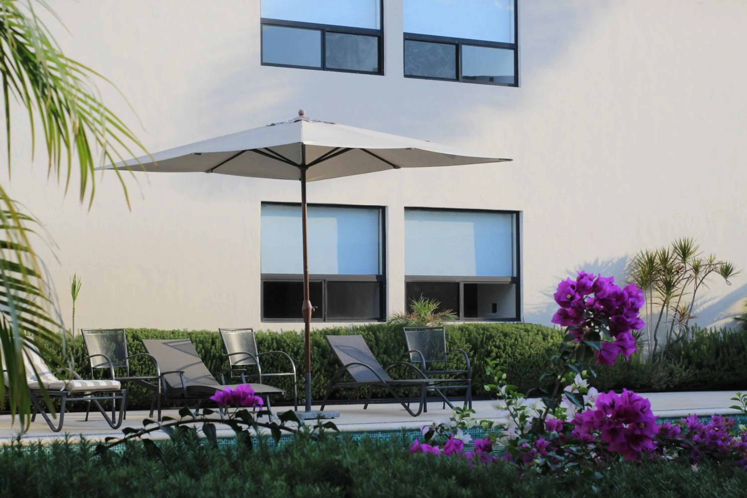 Swimming pool in Casa Begonias Hotel mas Villas