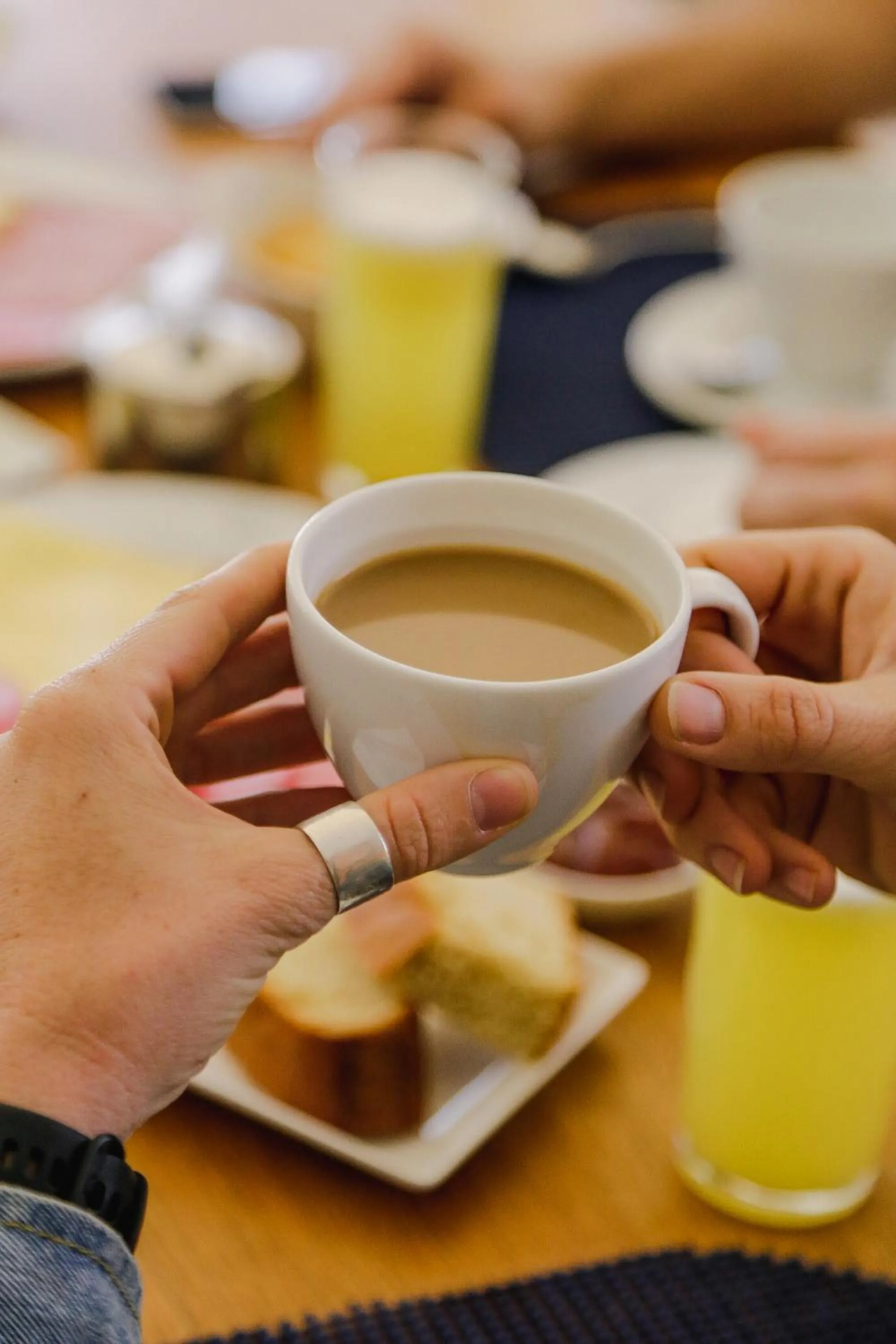 People in Milodge Elqui Domos