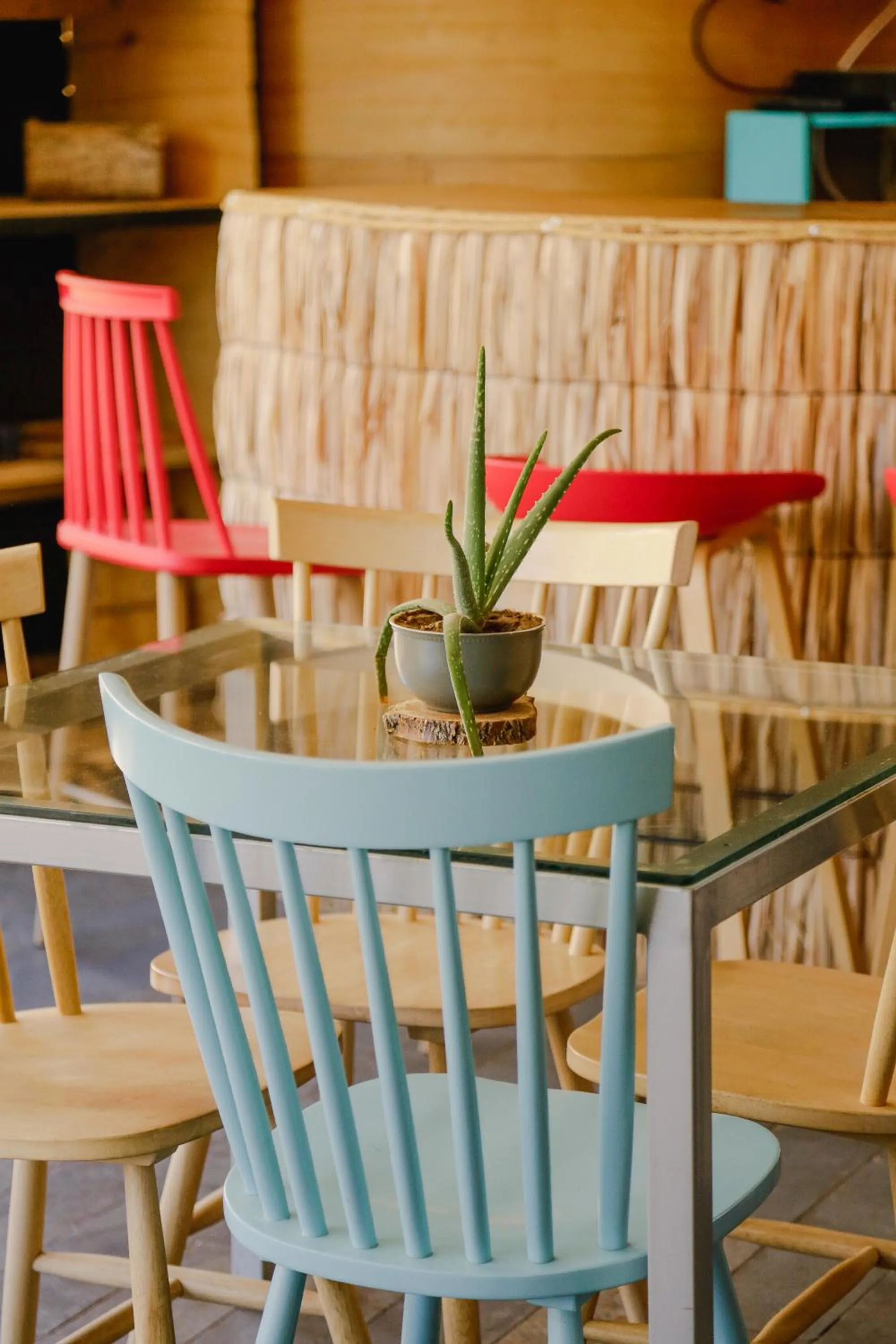 Restaurant/places to eat in Milodge Elqui Domos