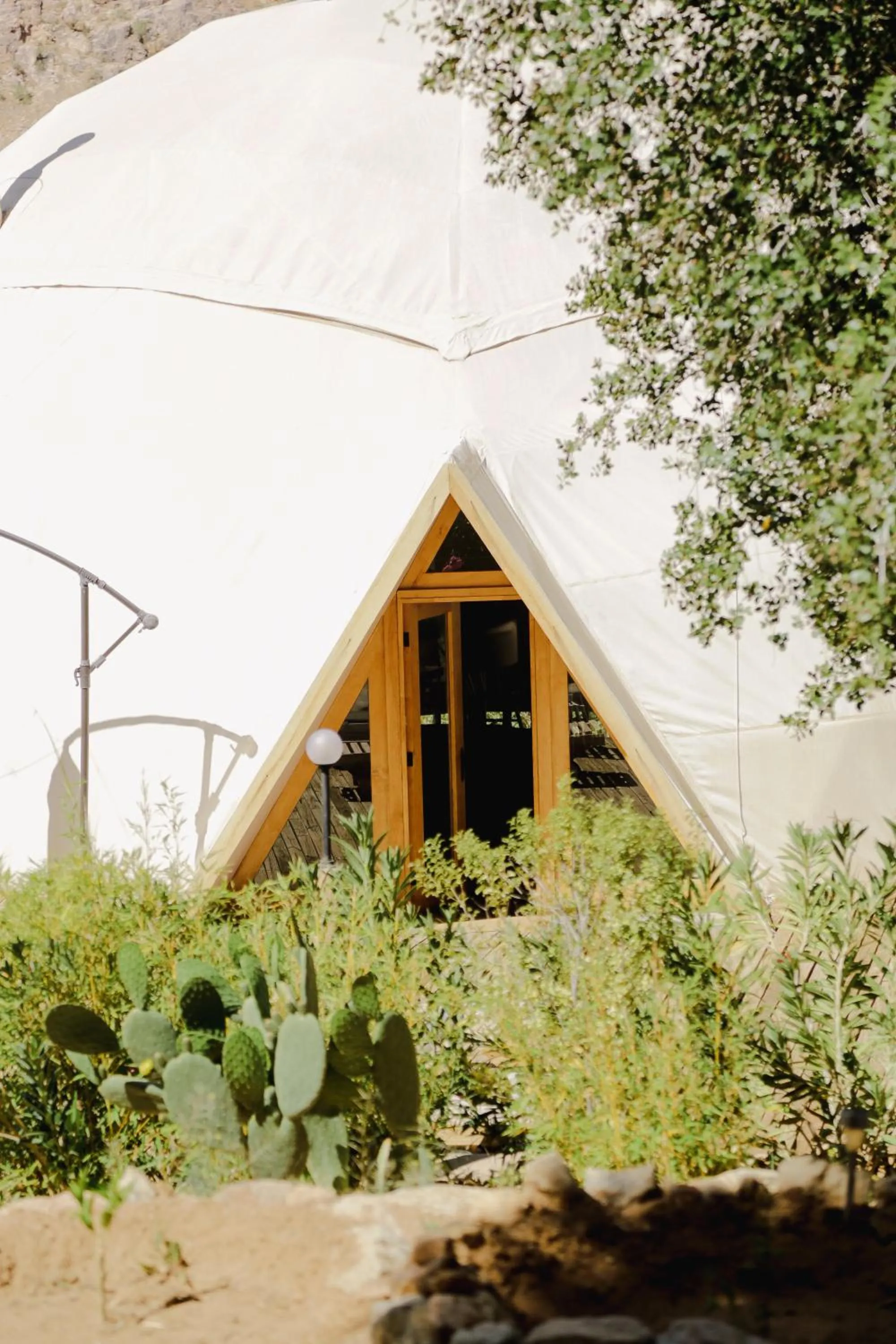 Property building in Milodge Elqui Domos