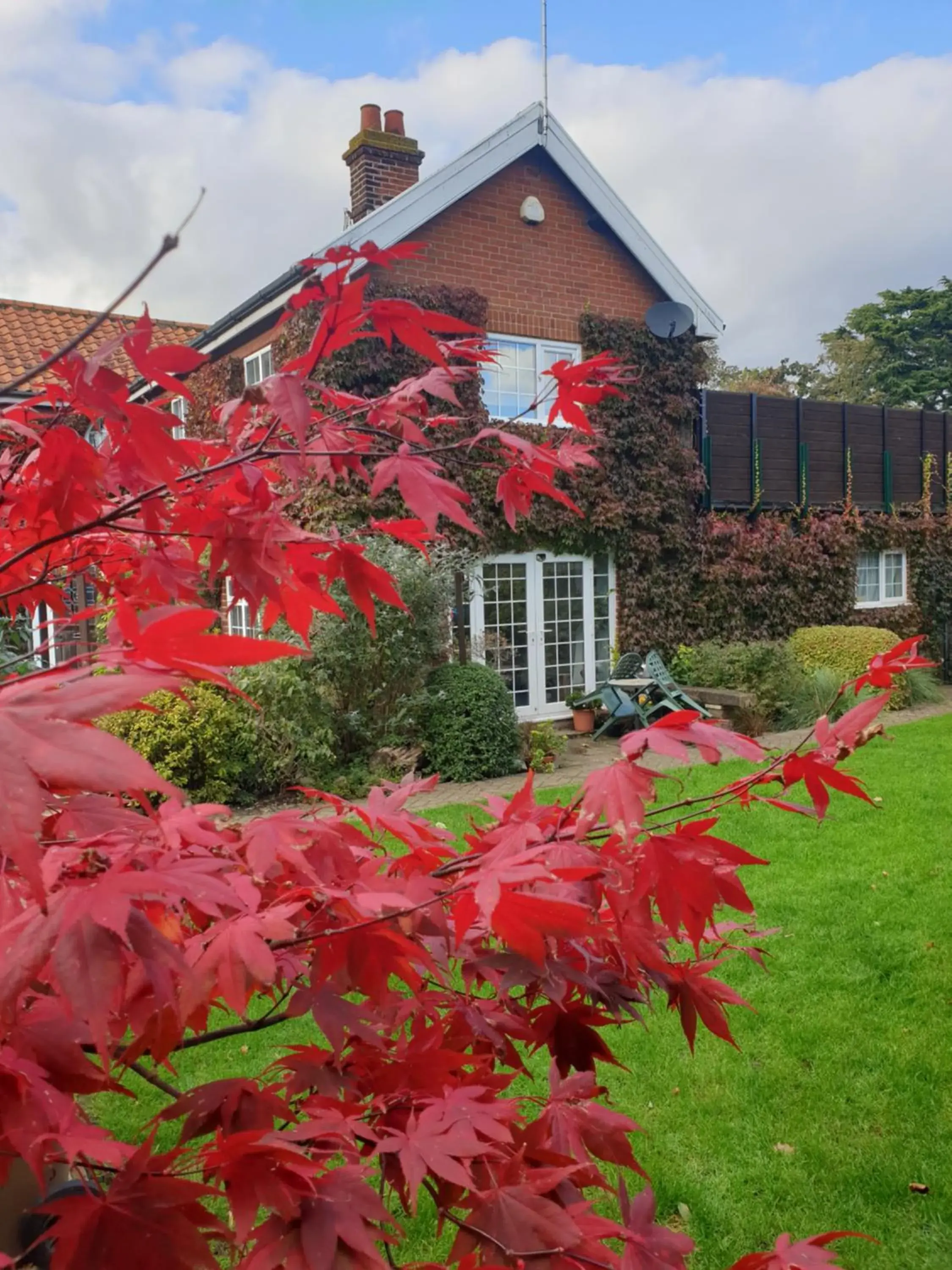 Deluxe Room in The Summer Room Deluxe Room in The Summer Room