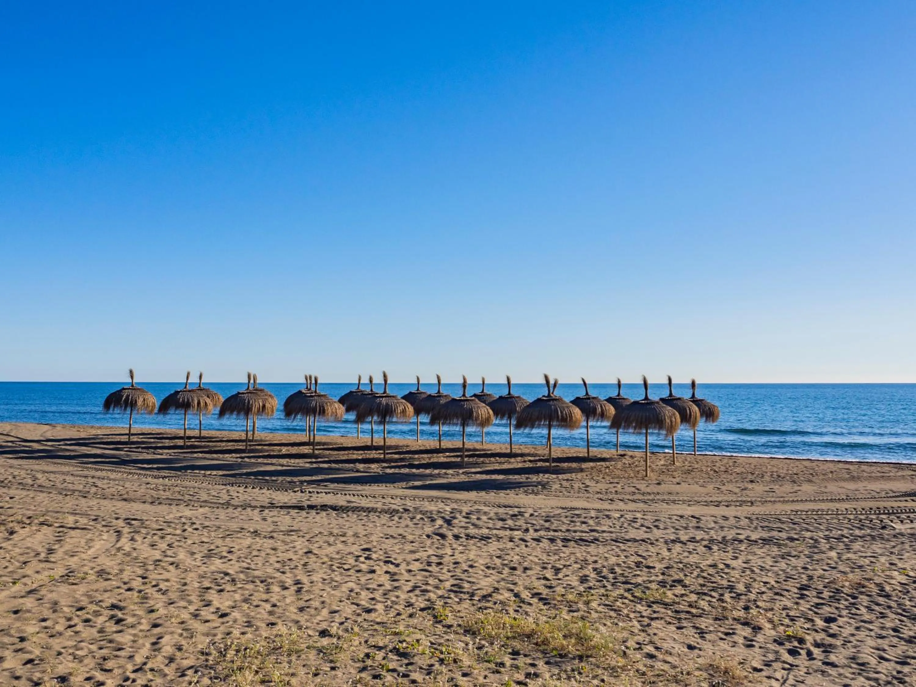 Complejo La Palapa