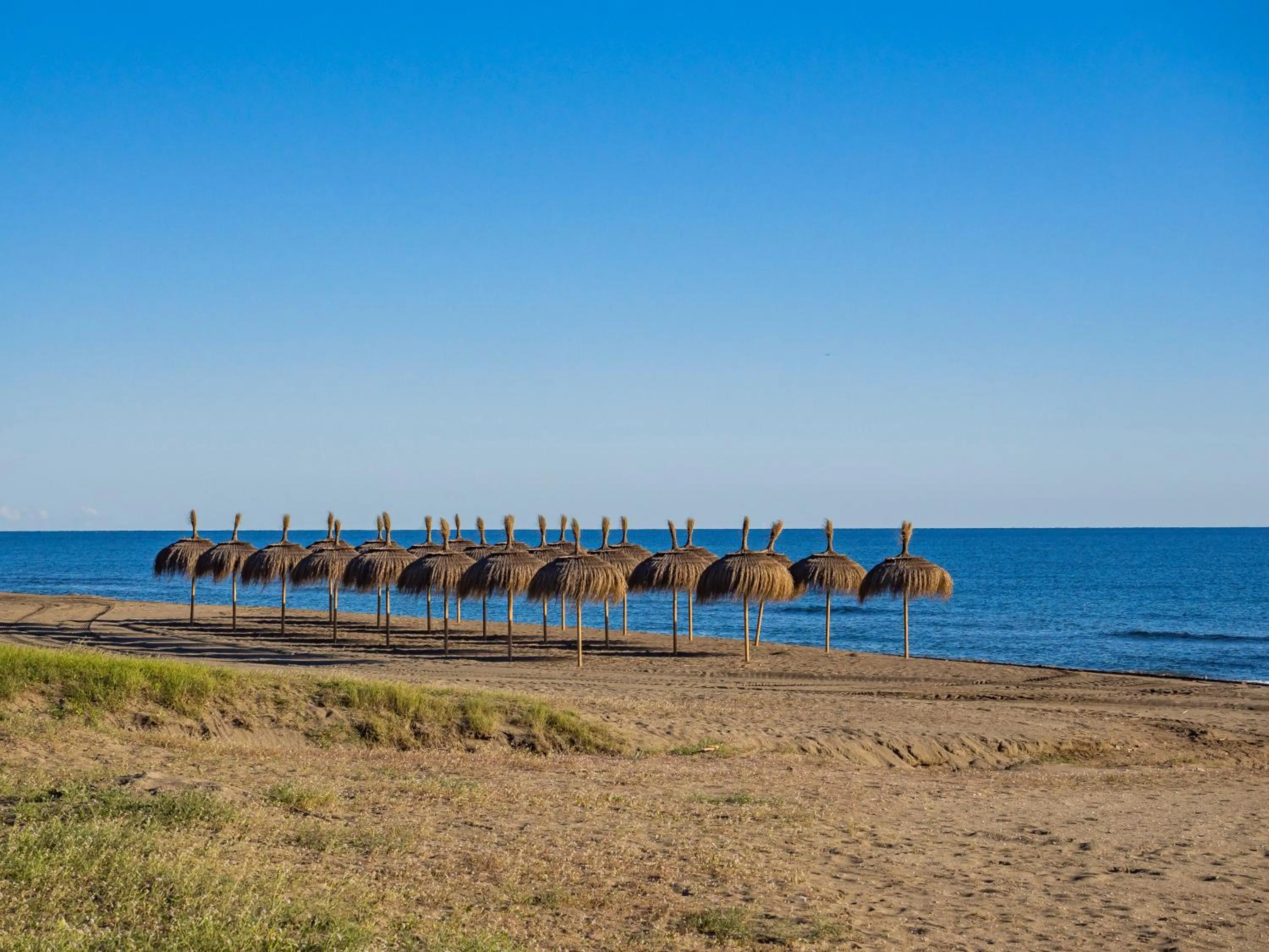 Complejo La Palapa