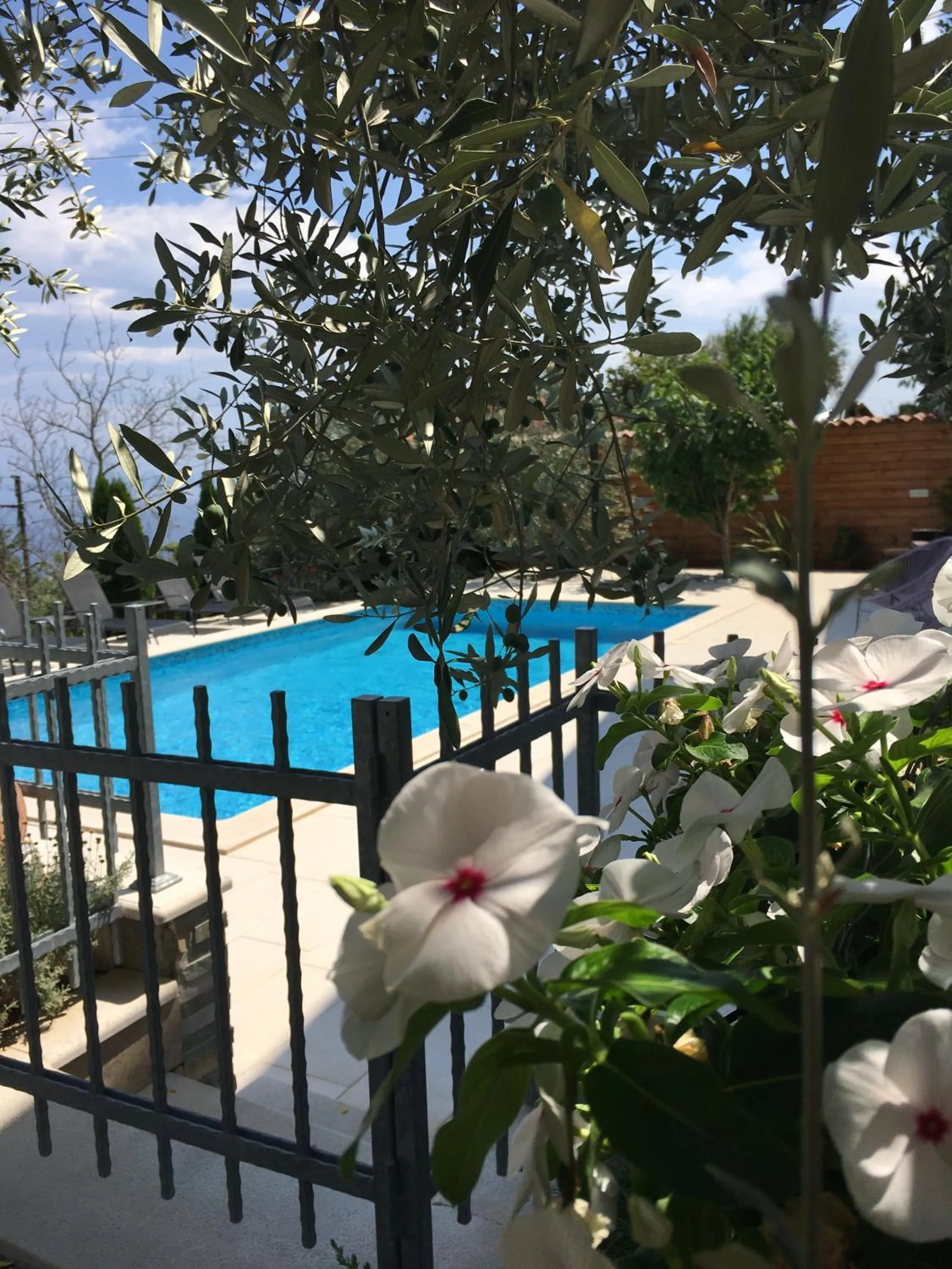 Swimming pool in Apartment Selce Kala