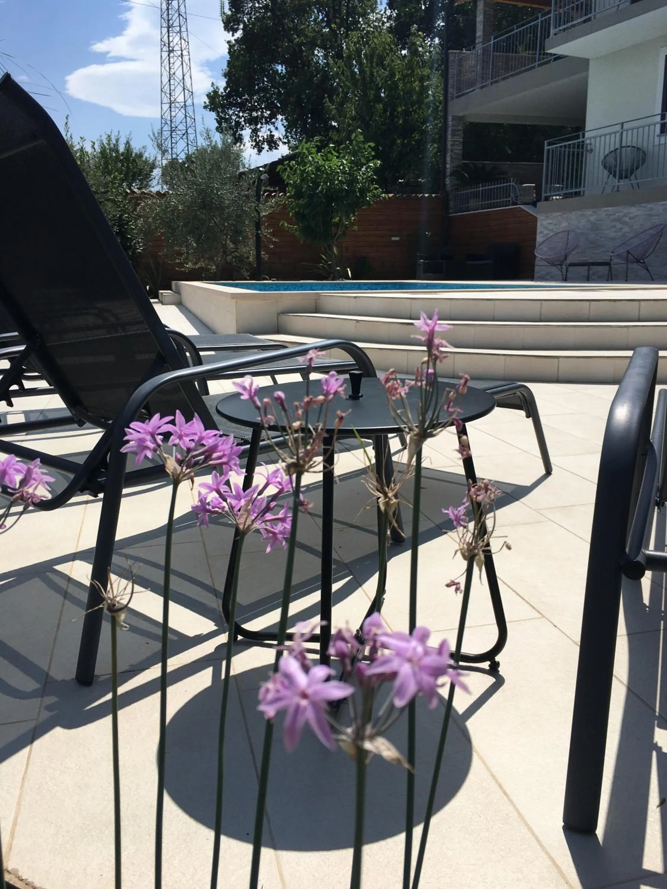 Swimming pool in Apartment Selce Kala
