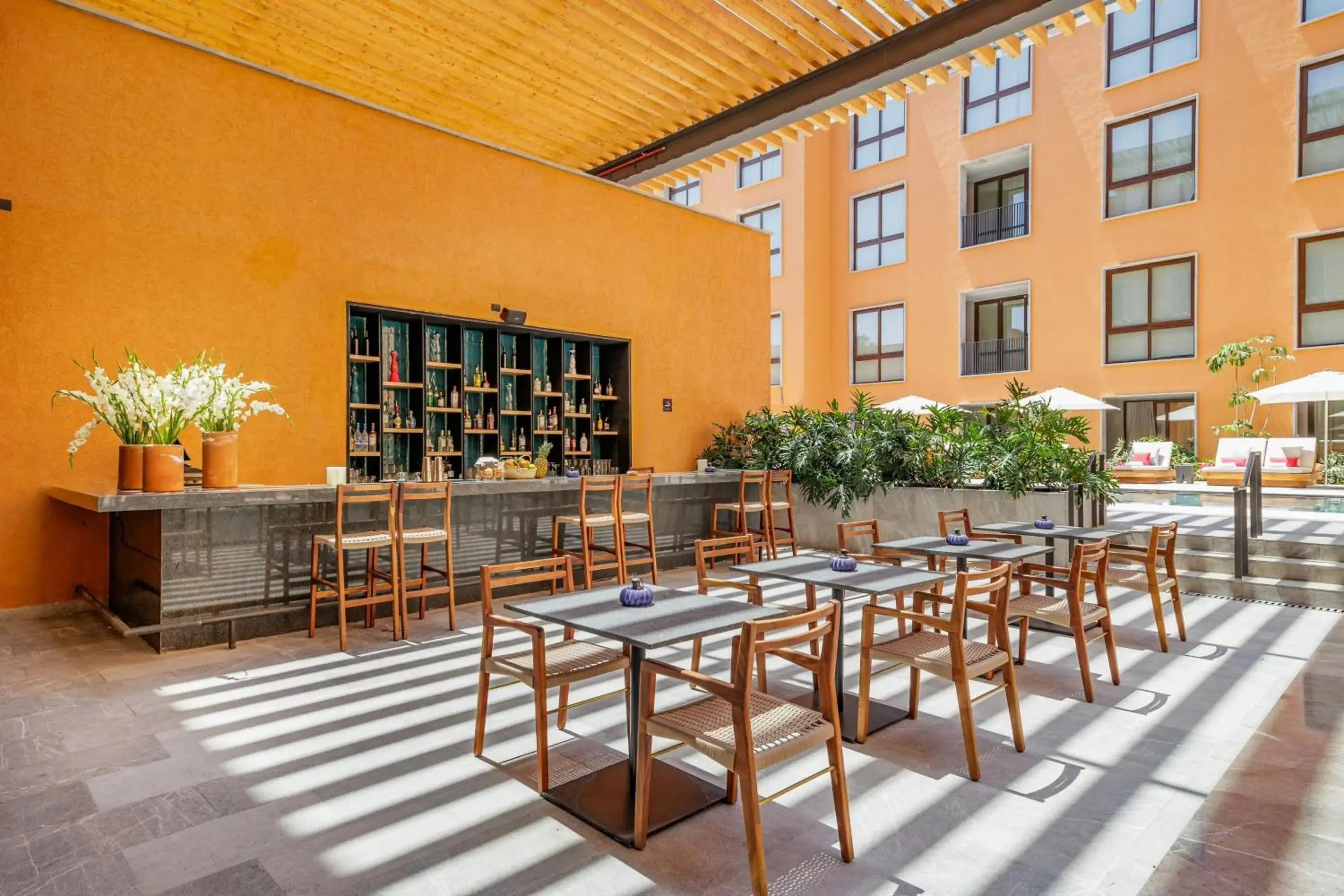 Lobby or reception in Clevia, San Miguel de Allende, Autograph Collection Lobby or reception in Clevia, San Miguel de Allende, Autograph Collection