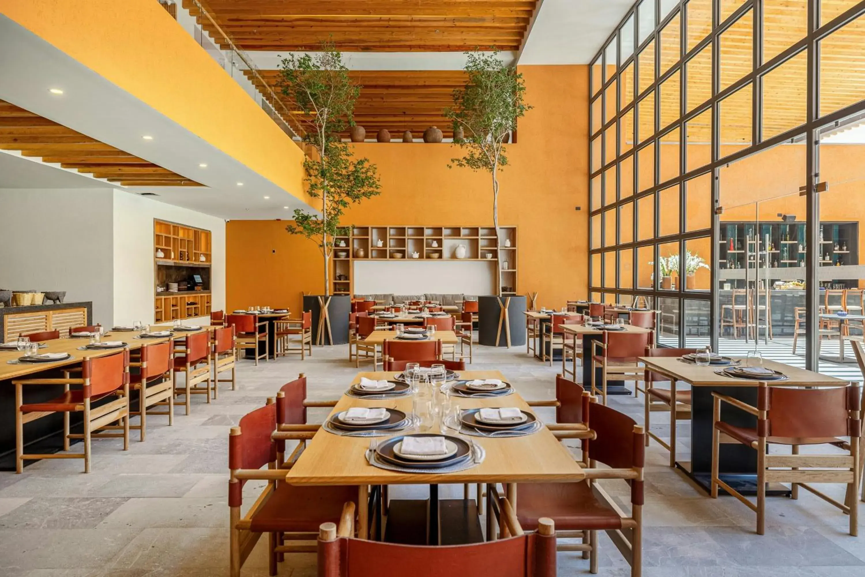 Restaurant/places to eat in Clevia, San Miguel de Allende, Autograph Collection Restaurant/places to eat in Clevia, San Miguel de Allende, Autograph Collection