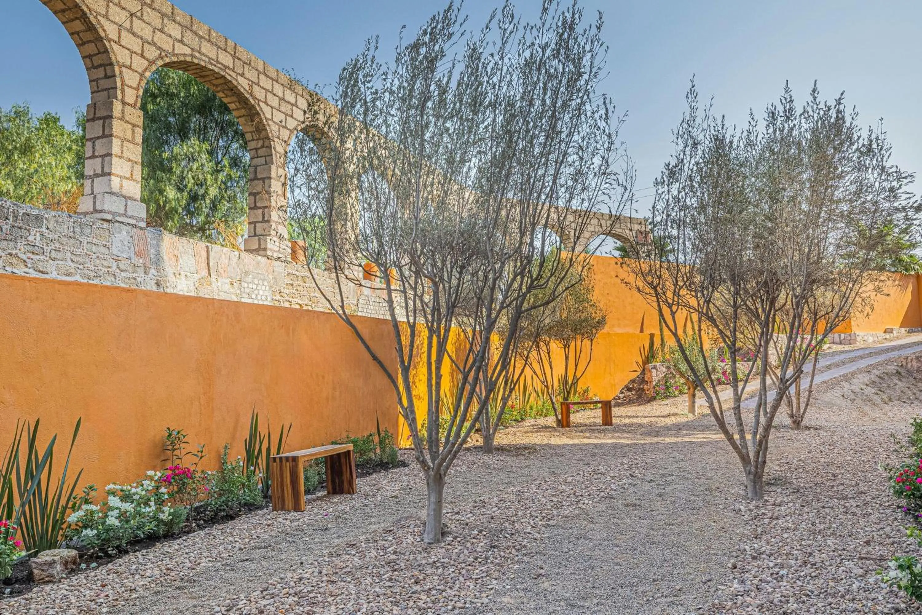 Other in Clevia, San Miguel de Allende, Autograph Collection