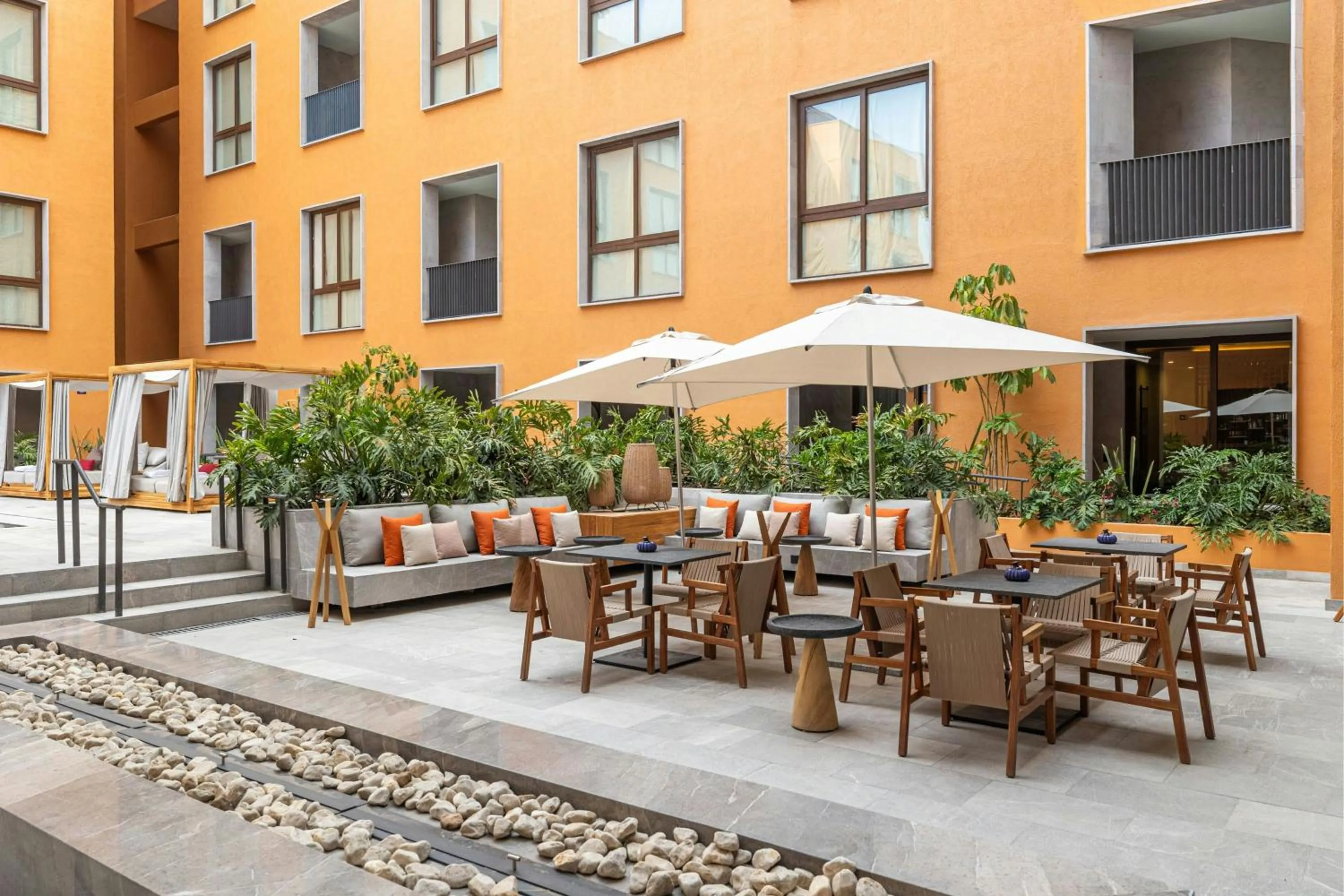 Other in Clevia, San Miguel de Allende, Autograph Collection