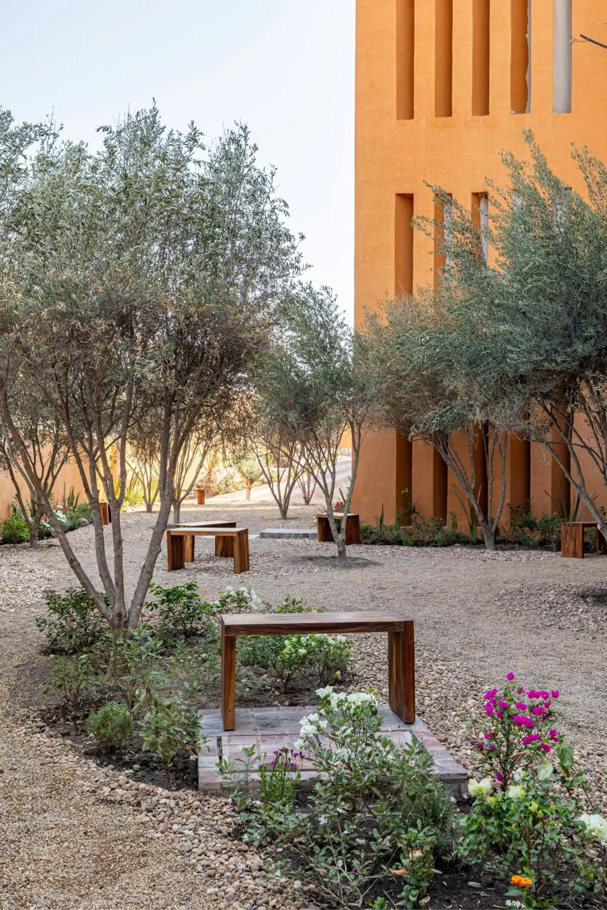 Other in Clevia, San Miguel de Allende, Autograph Collection