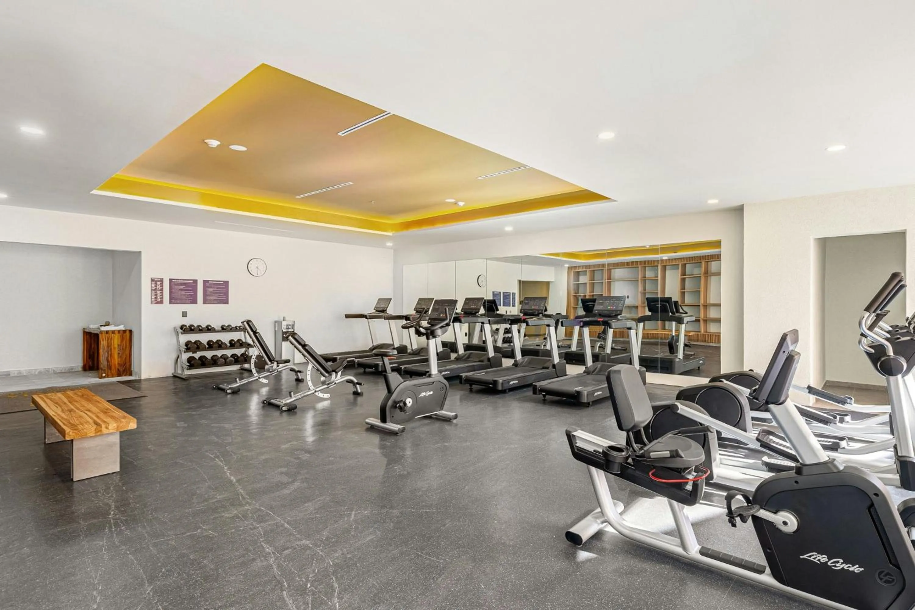 Fitness centre/facilities in Clevia, San Miguel de Allende, Autograph Collection