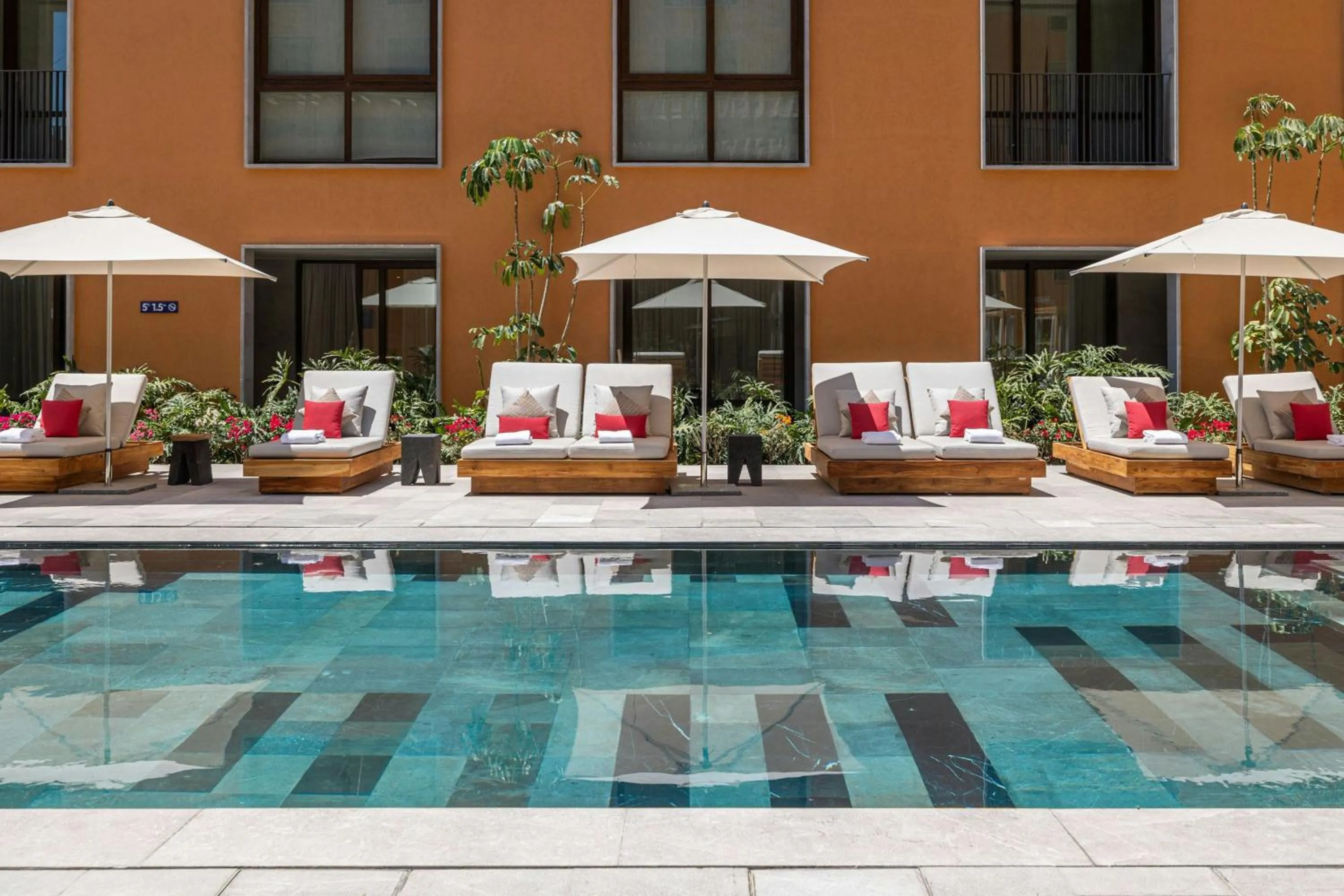 Swimming pool in Clevia, San Miguel de Allende, Autograph Collection