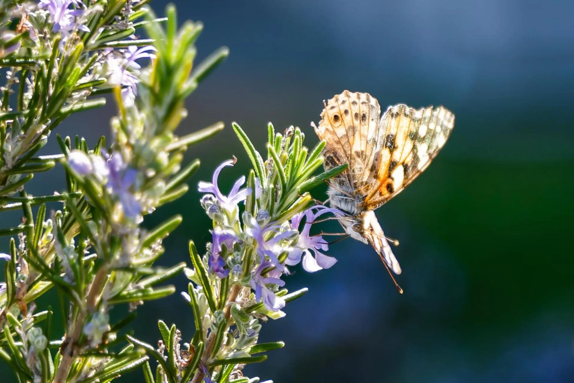 Natural landscape in Onyro Villas