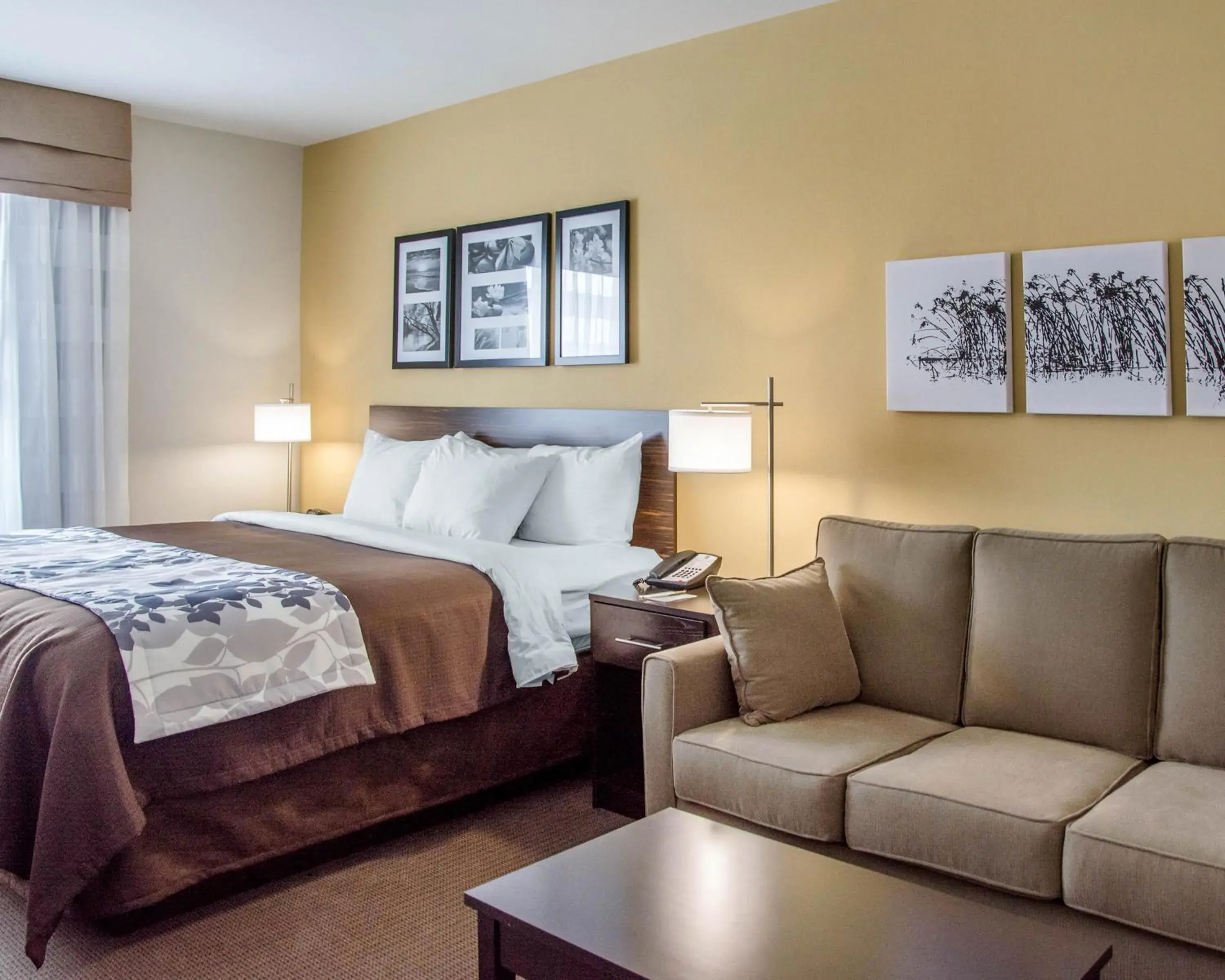 King Suite - Accessible/Non-Smoking in Sleep Inn & Suites Parkersburg - Mineral Wells King Suite - Accessible/Non-Smoking in Sleep Inn & Suites Parkersburg - Mineral Wells