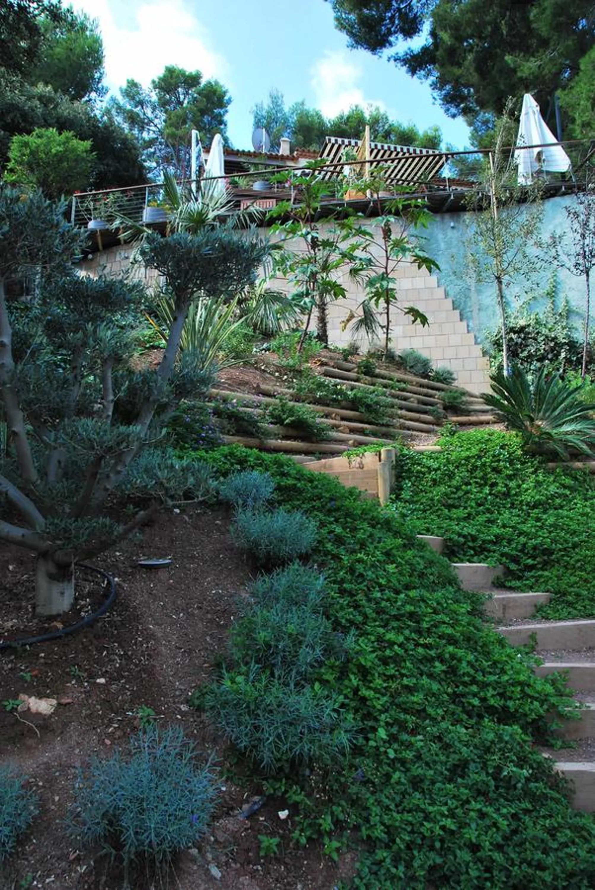 Garden in Villa Kerjanus