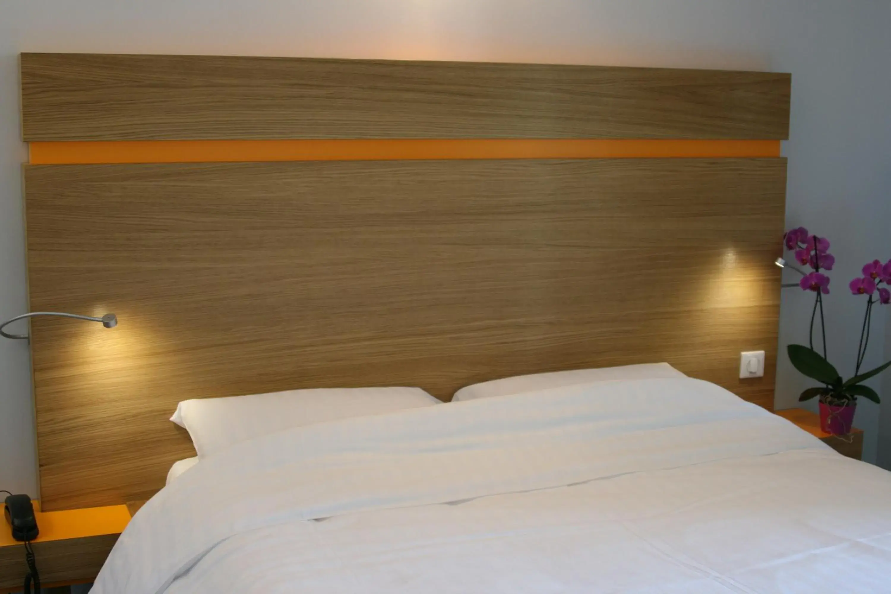 Double Room in Hotel Bel Horizon Double Room in Hotel Bel Horizon