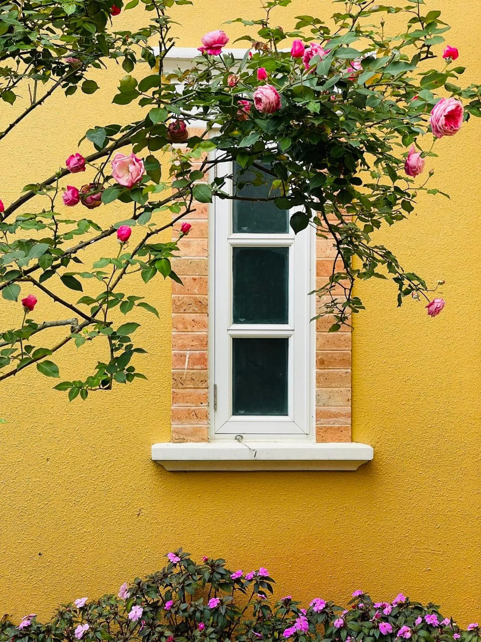 BICH DAO Boutique - Dalat