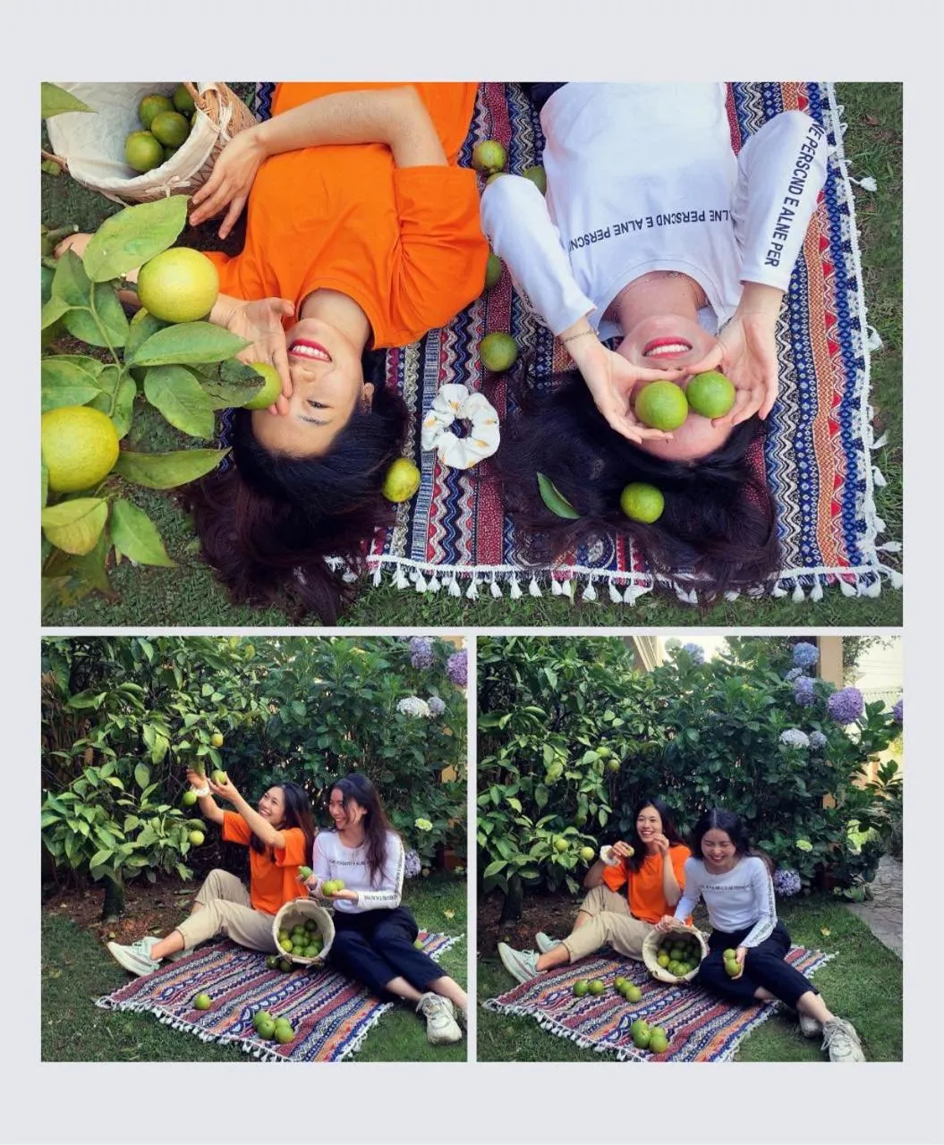 BICH DAO Boutique - Dalat