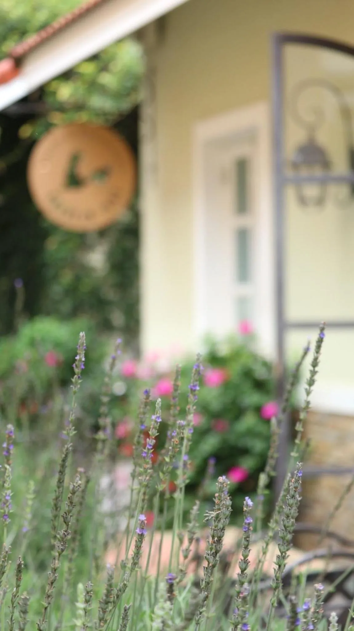 BICH DAO Boutique - Dalat