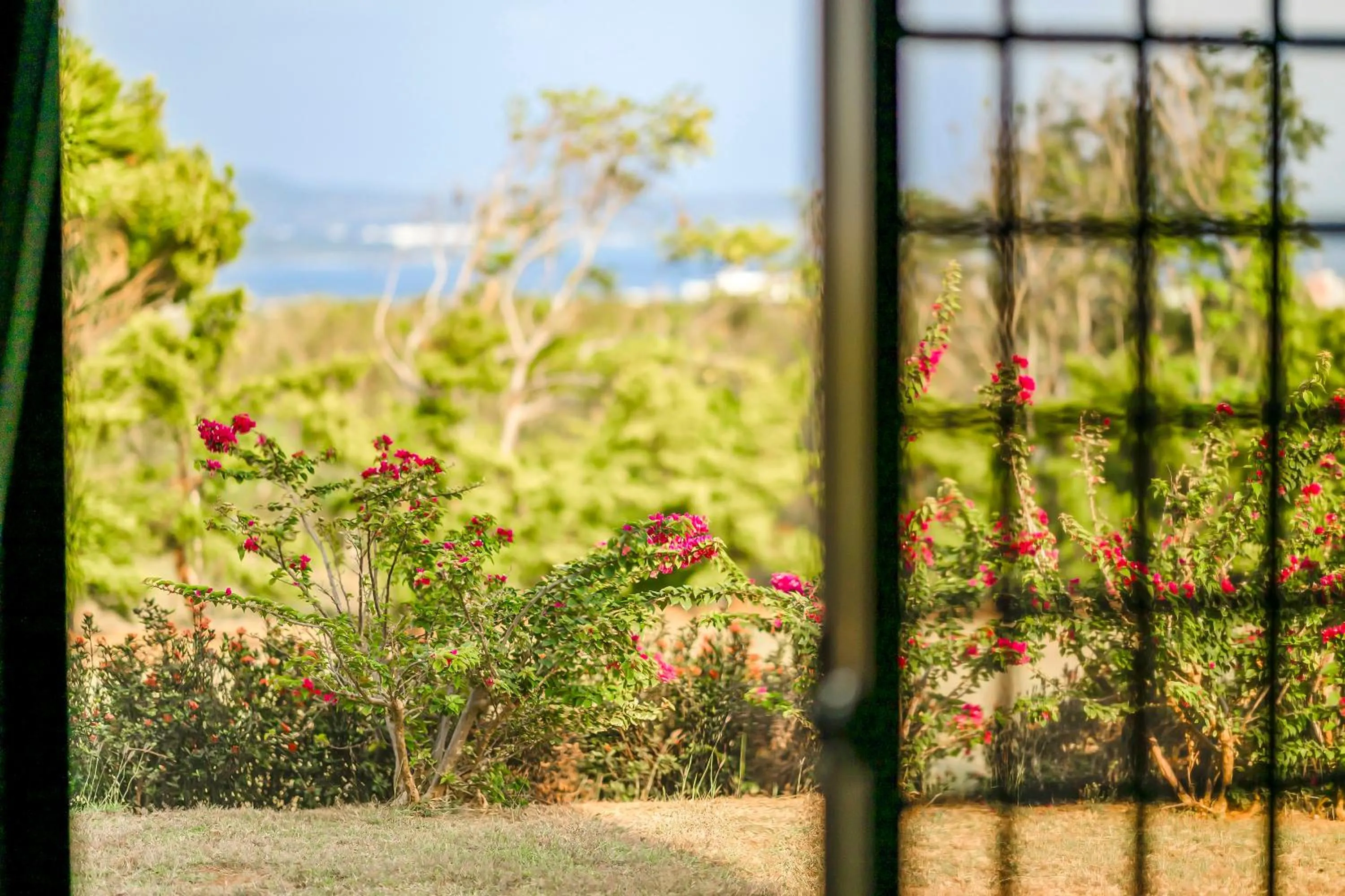 Natural landscape in Kavana Cottage