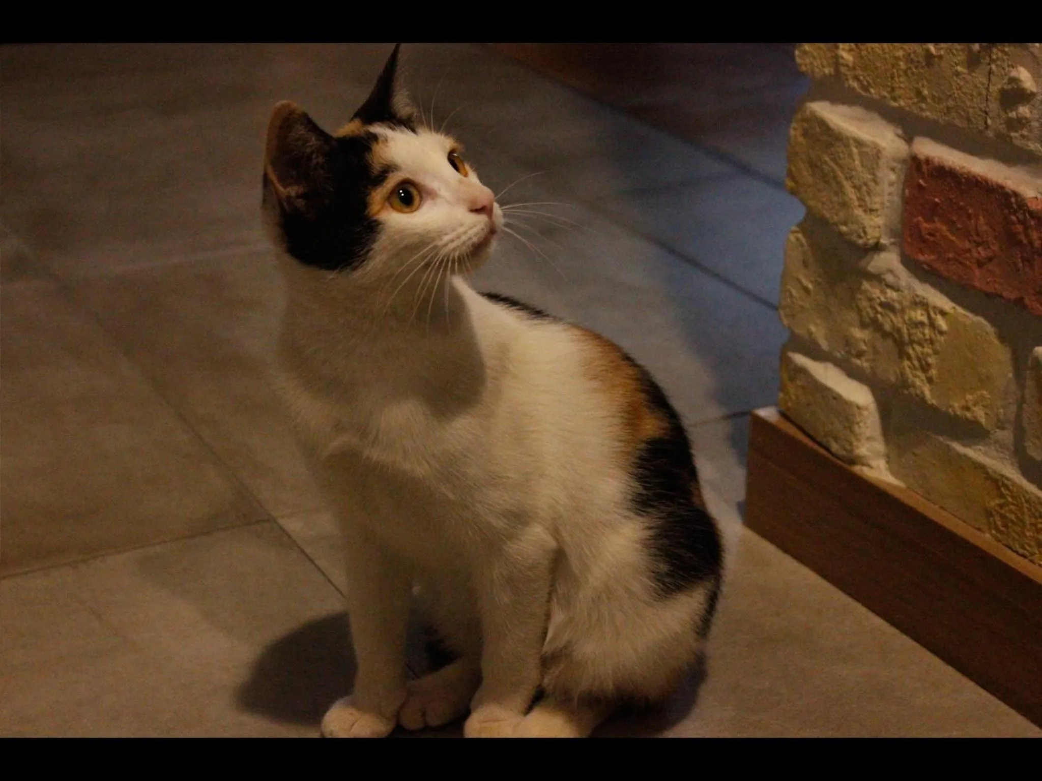 Other in Kavana Cottage