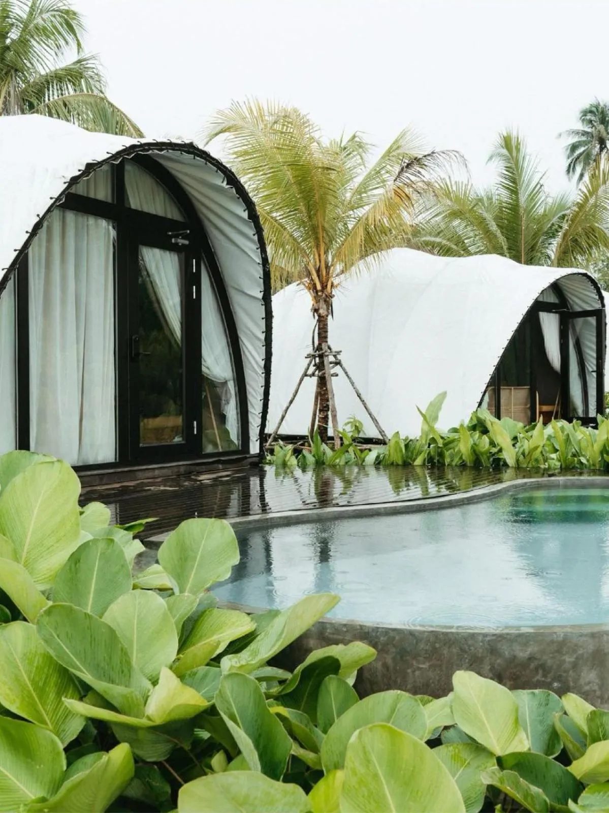 Pool view in Cocoon Resort Kuching