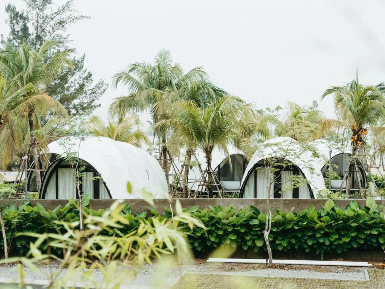 Property building in Cocoon Resort Kuching