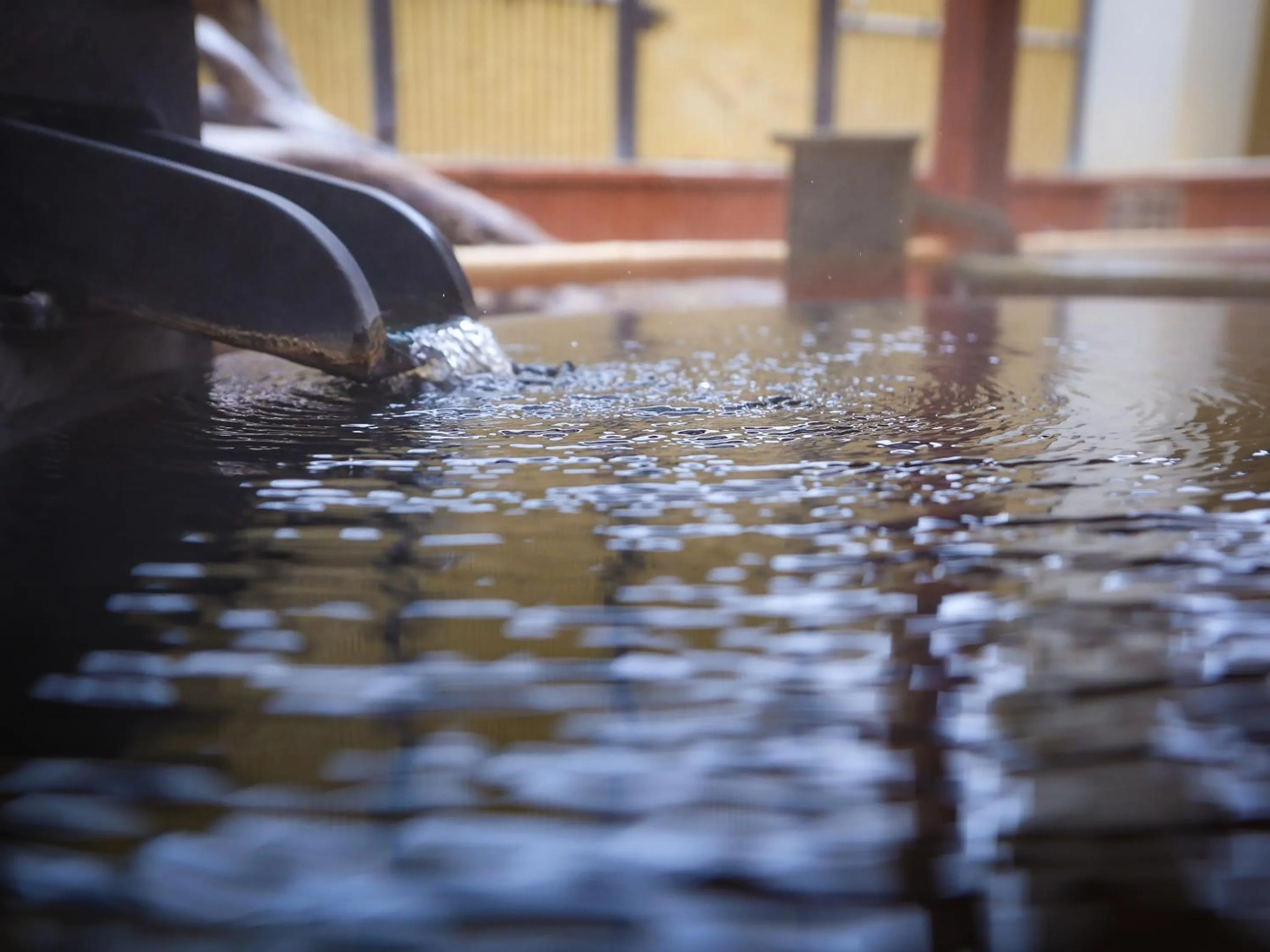 Hot Spring Bath in Sasai Hotel