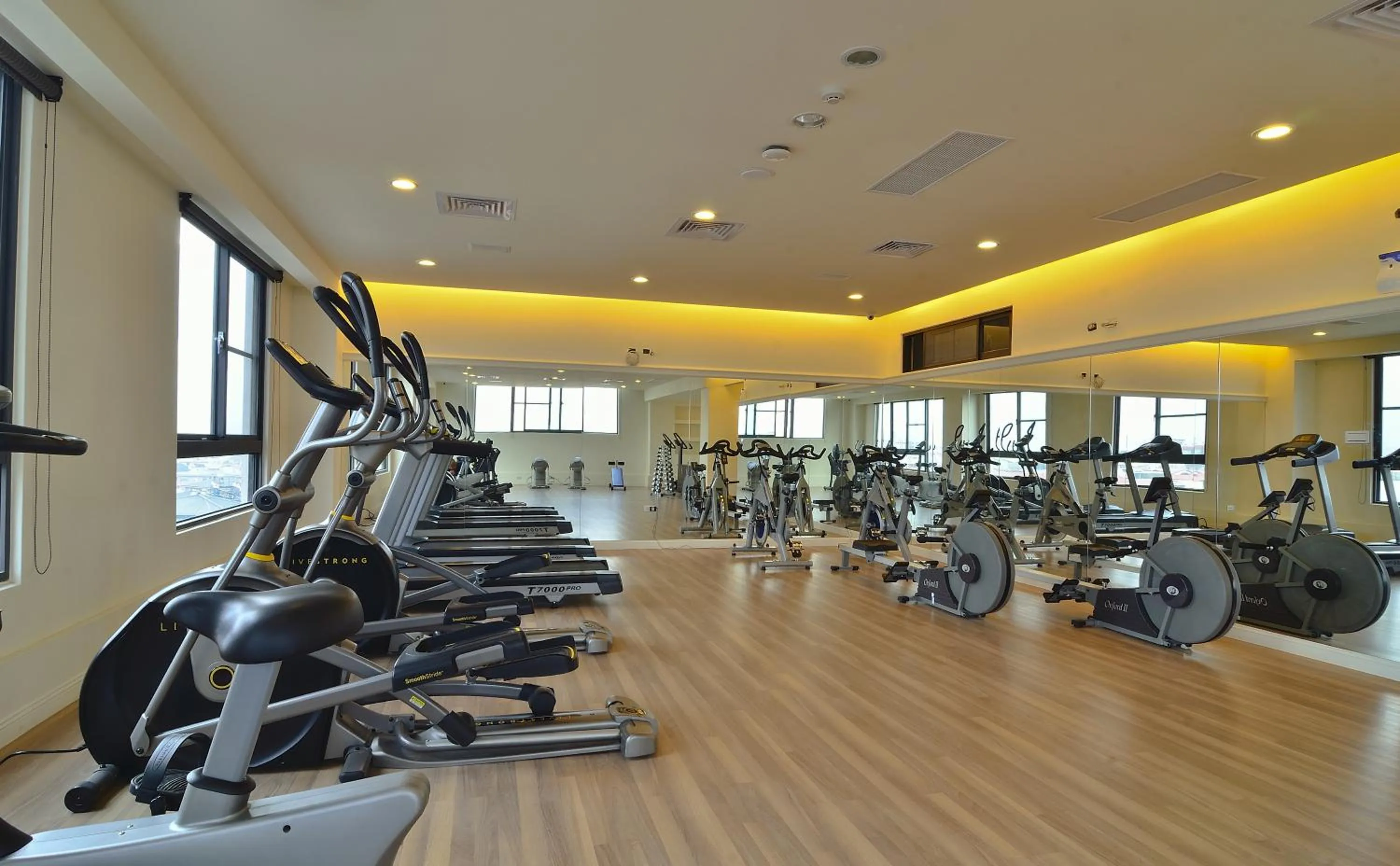 Fitness centre/facilities in Hotel Modern Puli