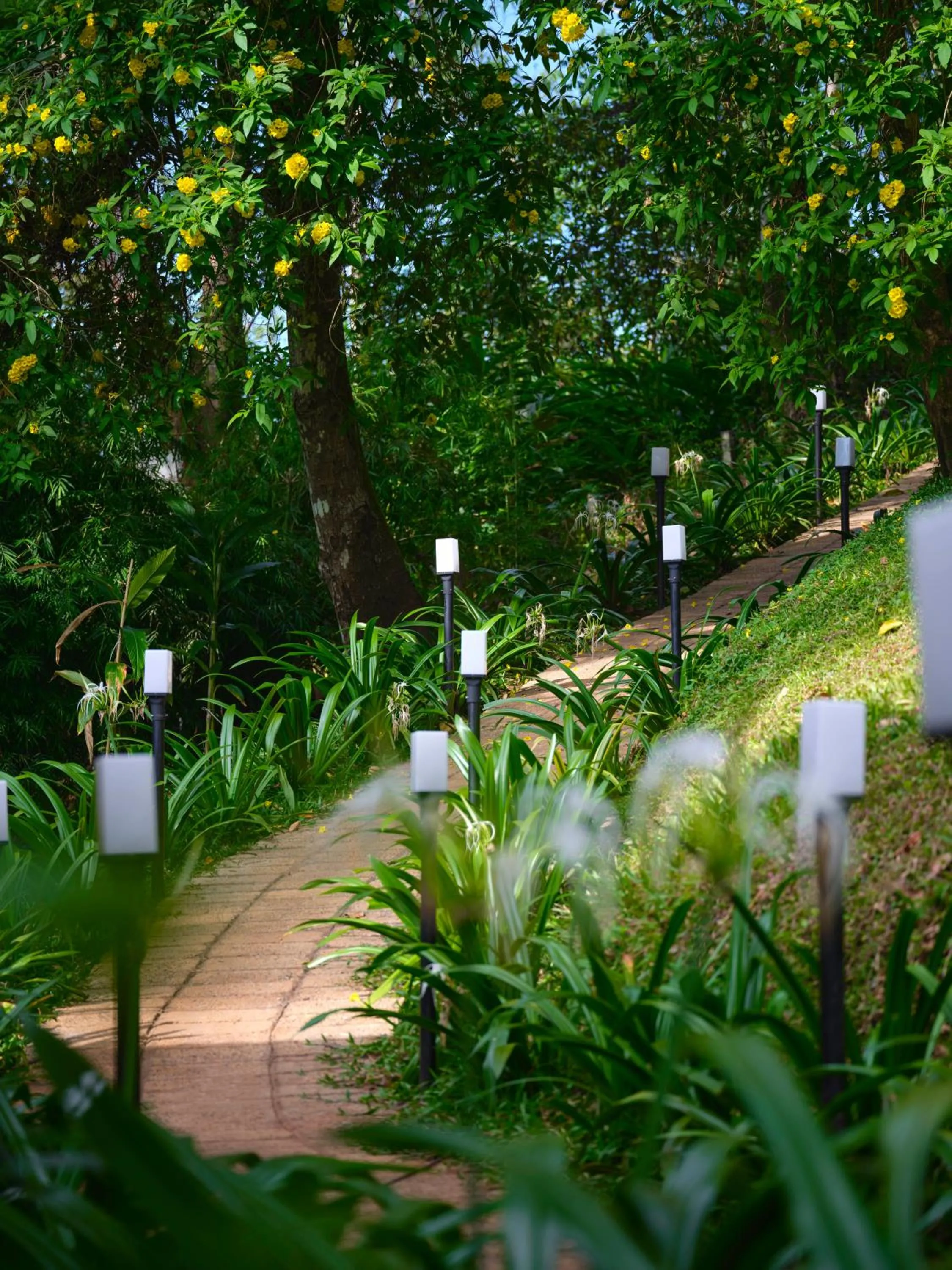 Spring in ERA Resort By Stride
