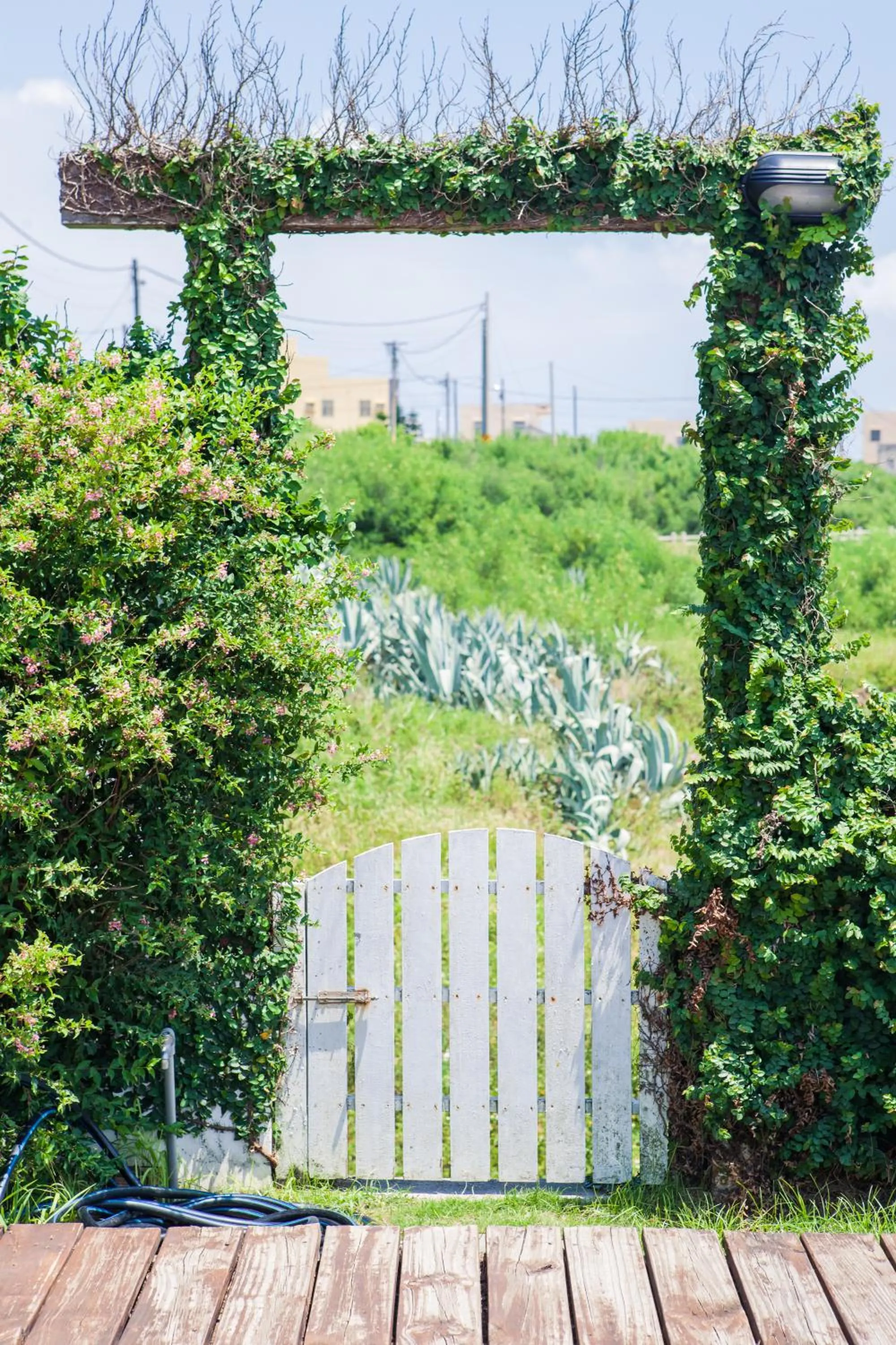 Natural landscape in Summer Ya B&B