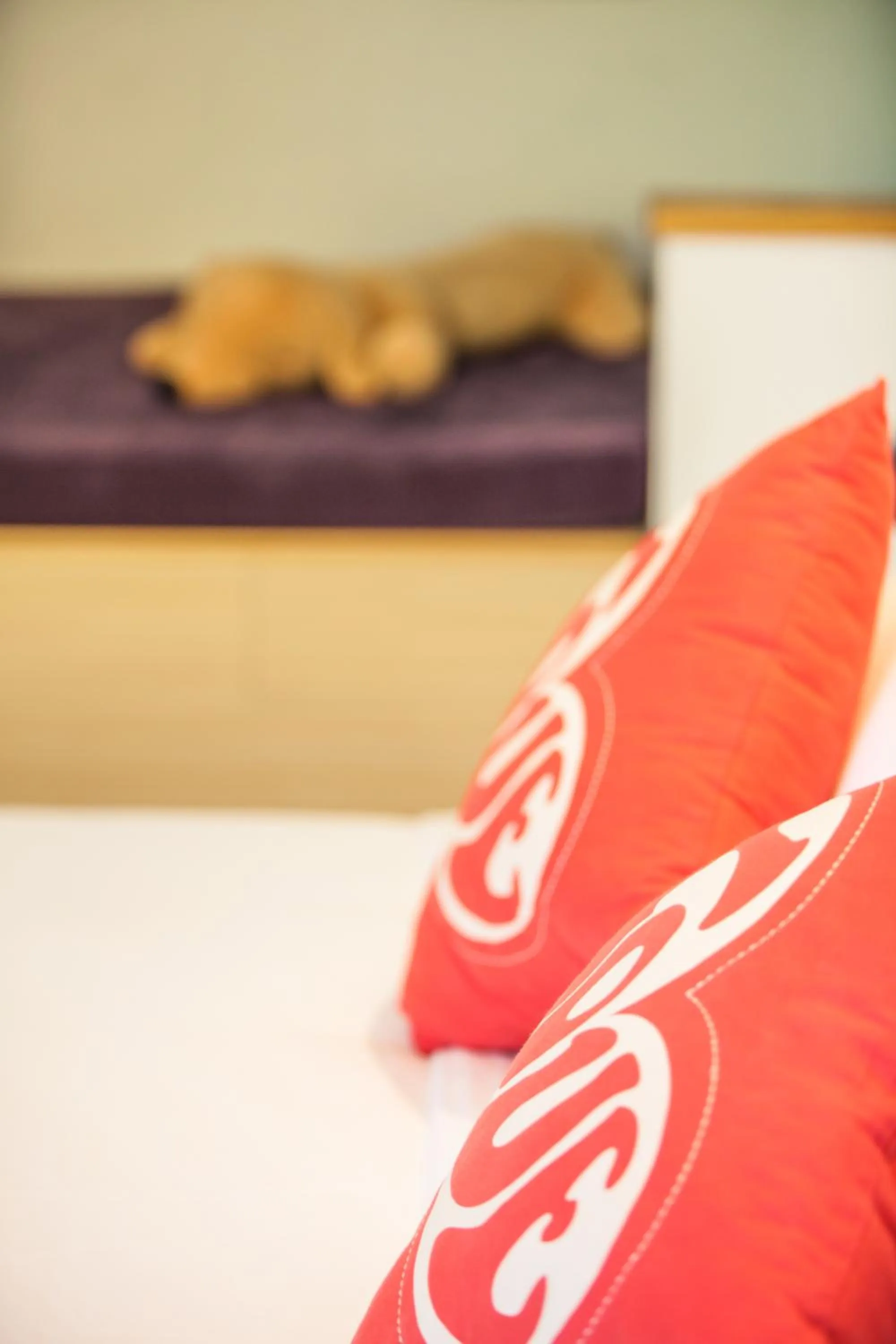 Bed in Summer Ya B&B