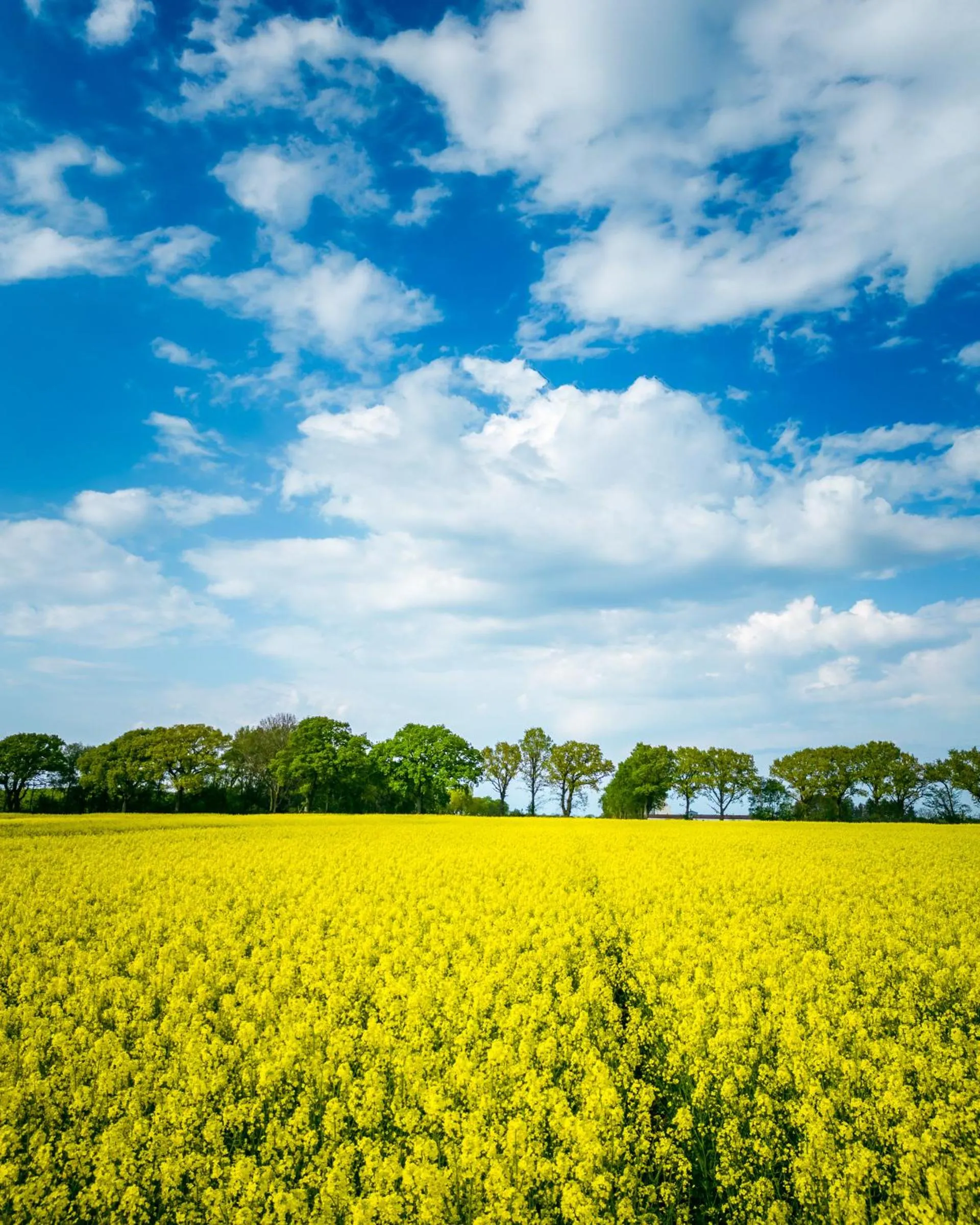 Natural landscape in Köpmans Boutique Hotel & Bistro