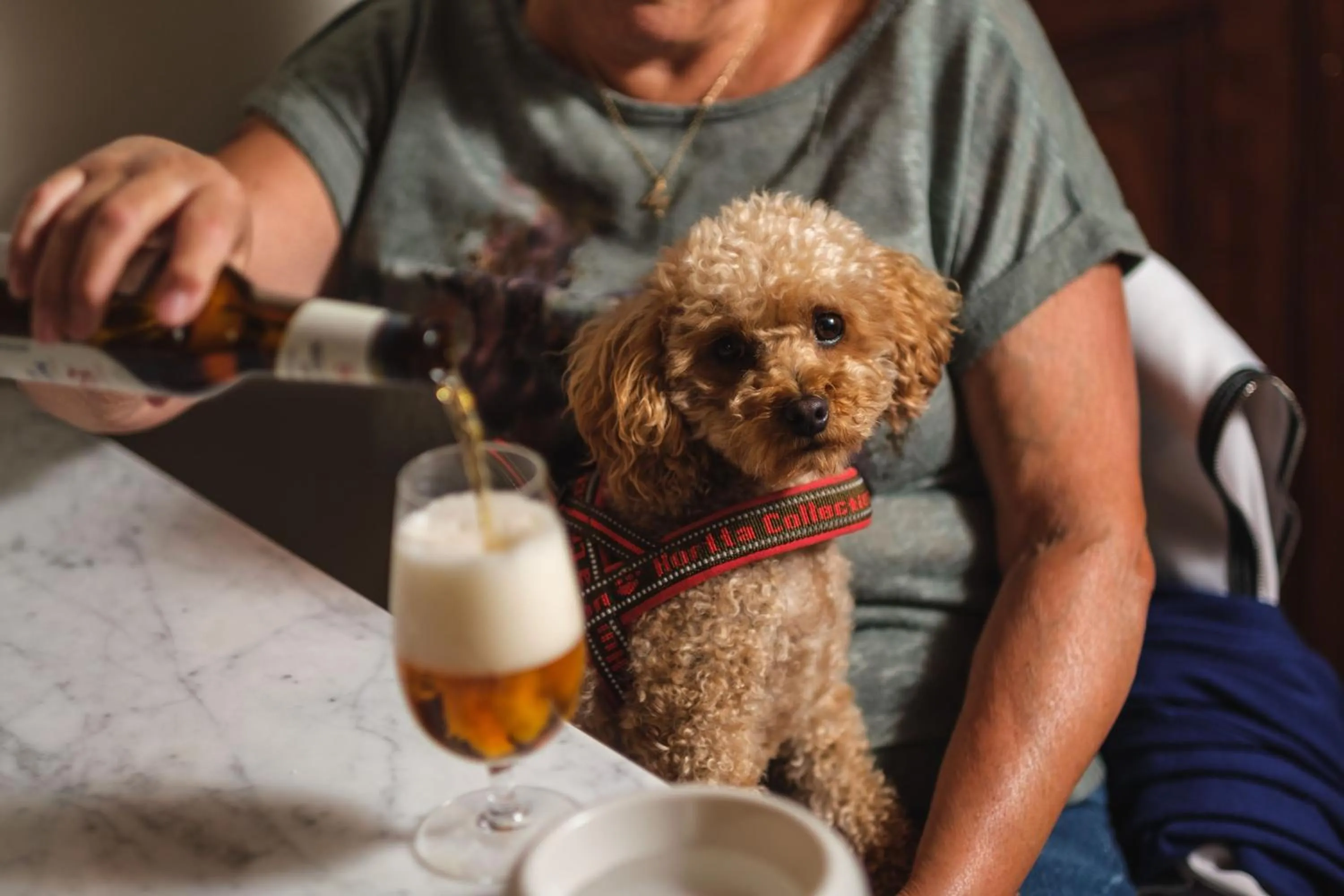 Pets in Köpmans Boutique Hotel & Bistro