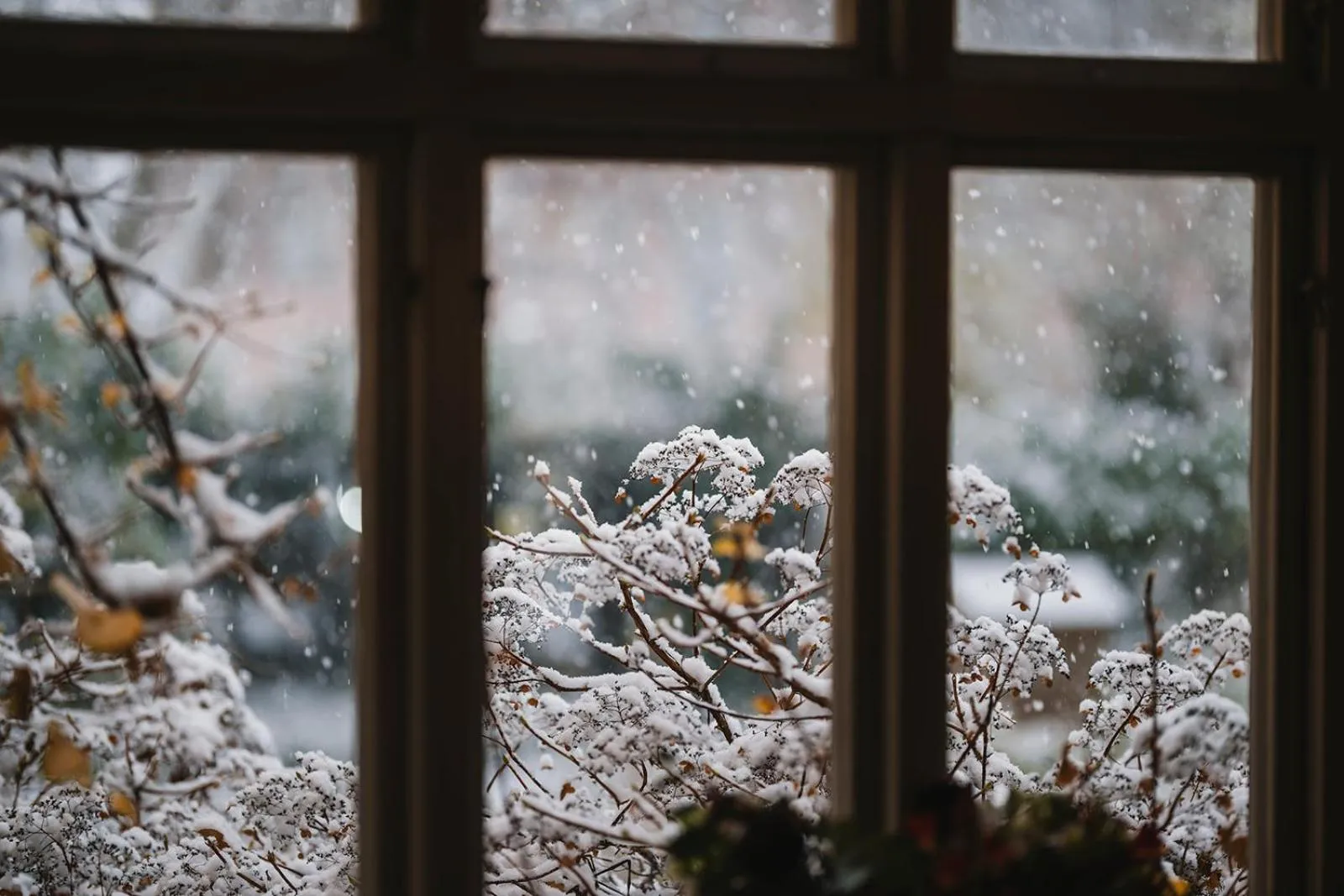 Garden in Köpmans Boutique Hotel & Bistro