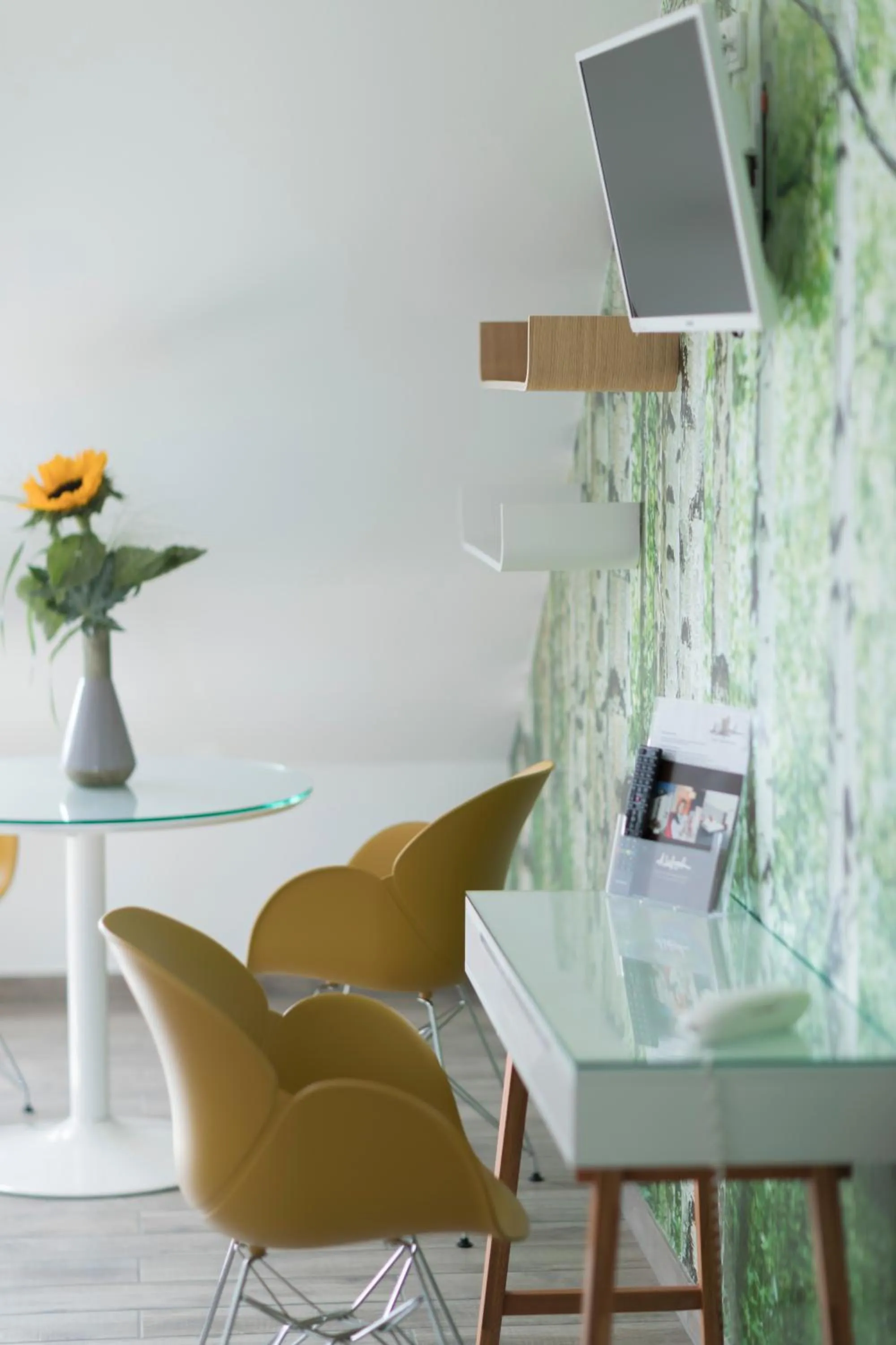 TV and multimedia in Hotel Apartment Laforsch