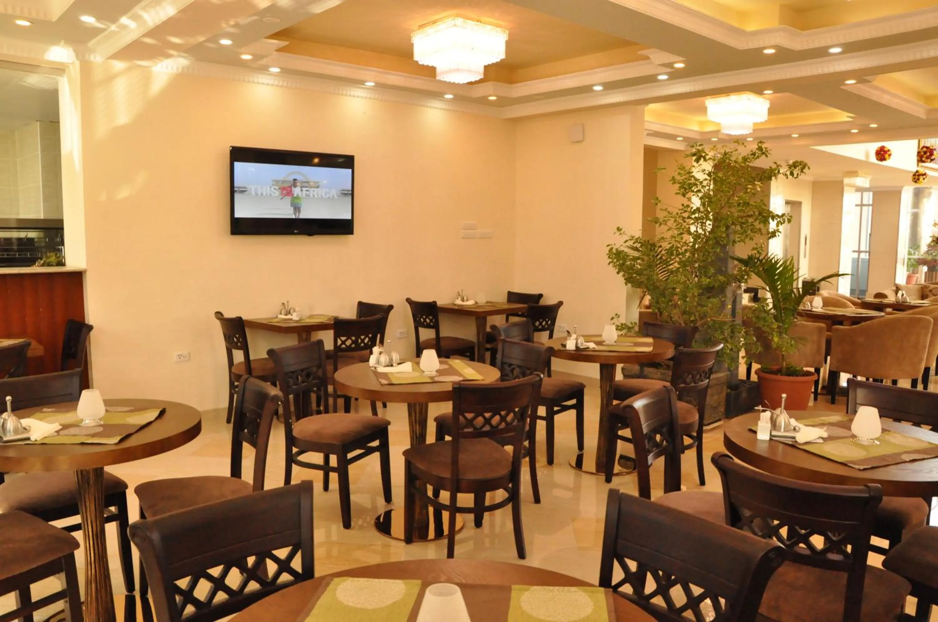 Alcoholic drinks in Addissinia Hotel