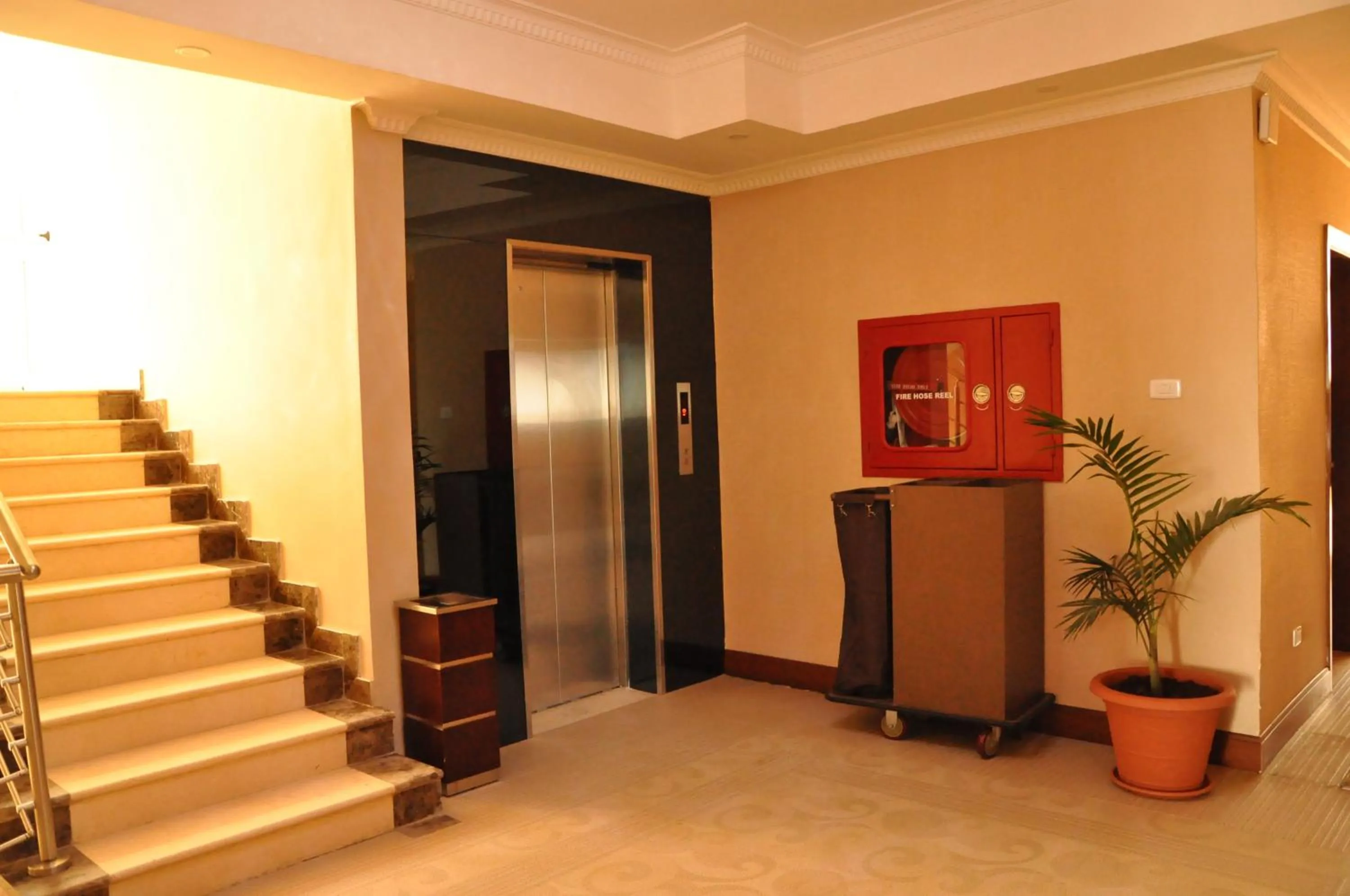 Patio in Addissinia Hotel