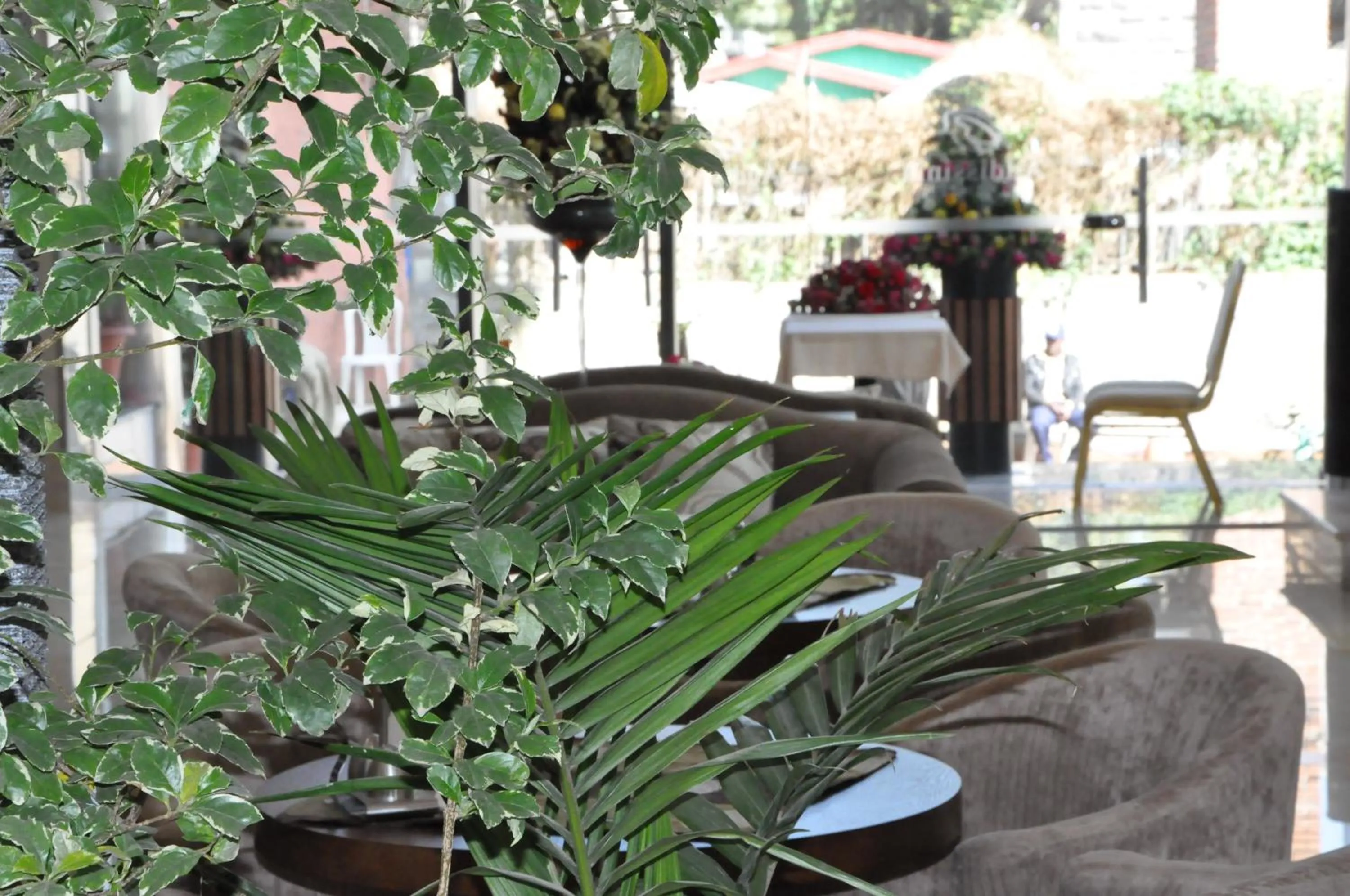 Coffee/tea facilities in Addissinia Hotel