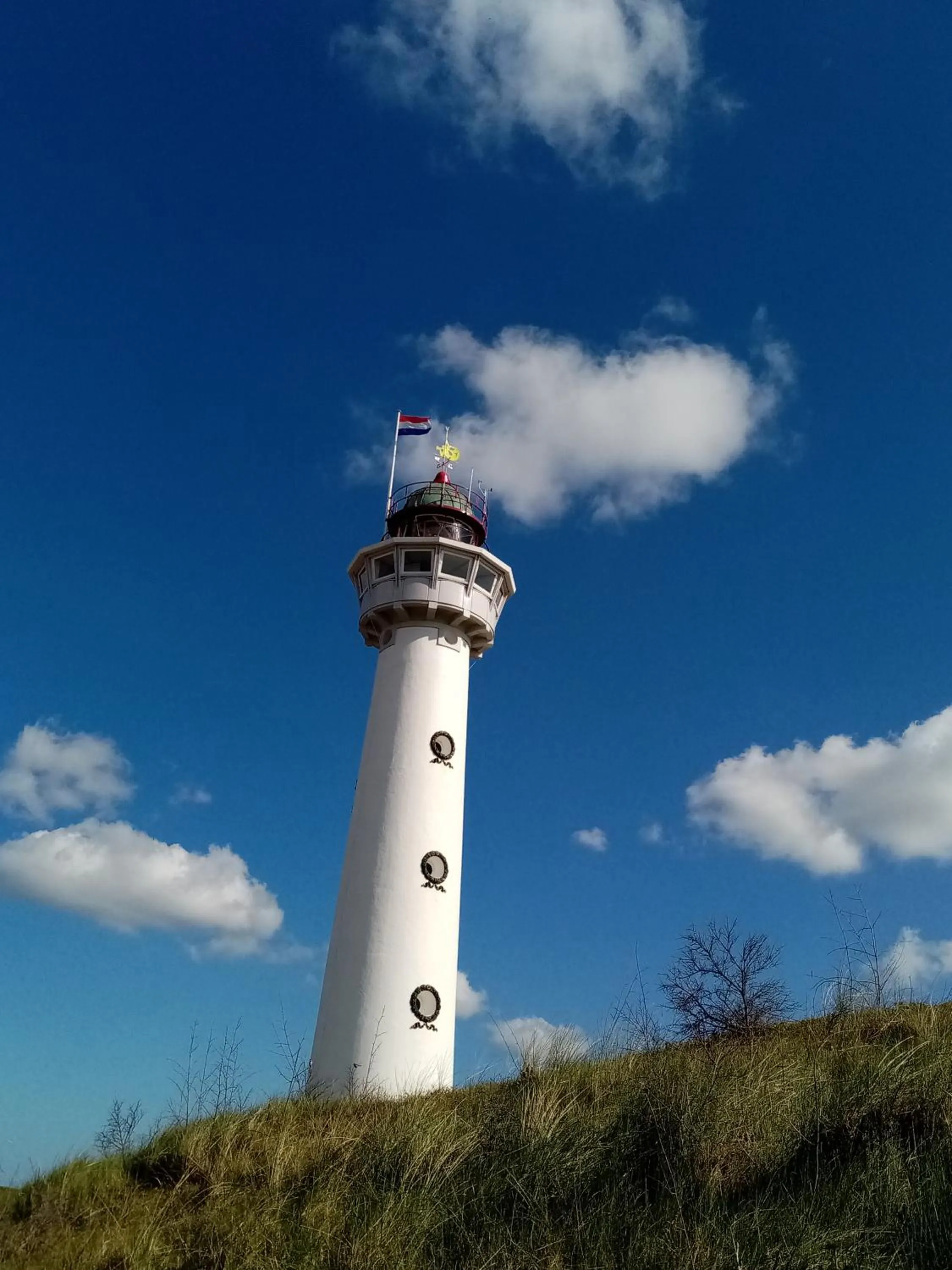Natural landscape in Prins Appartementen