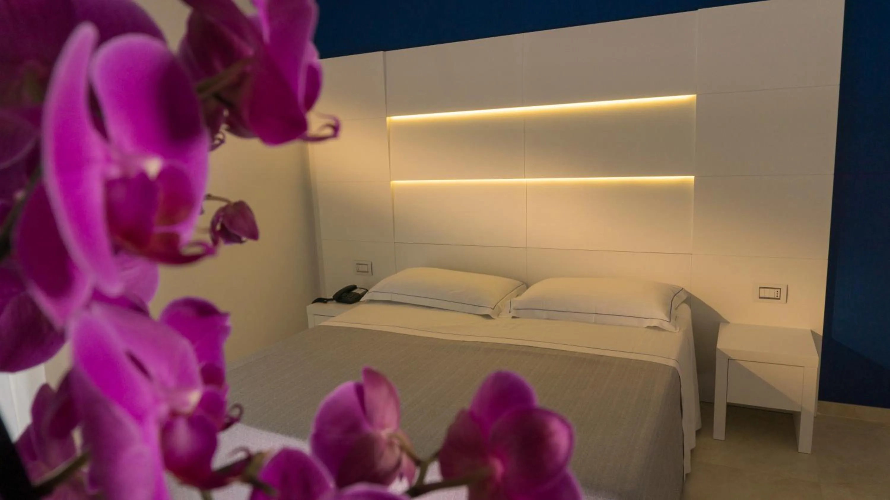 Property building in Hotel Scialara