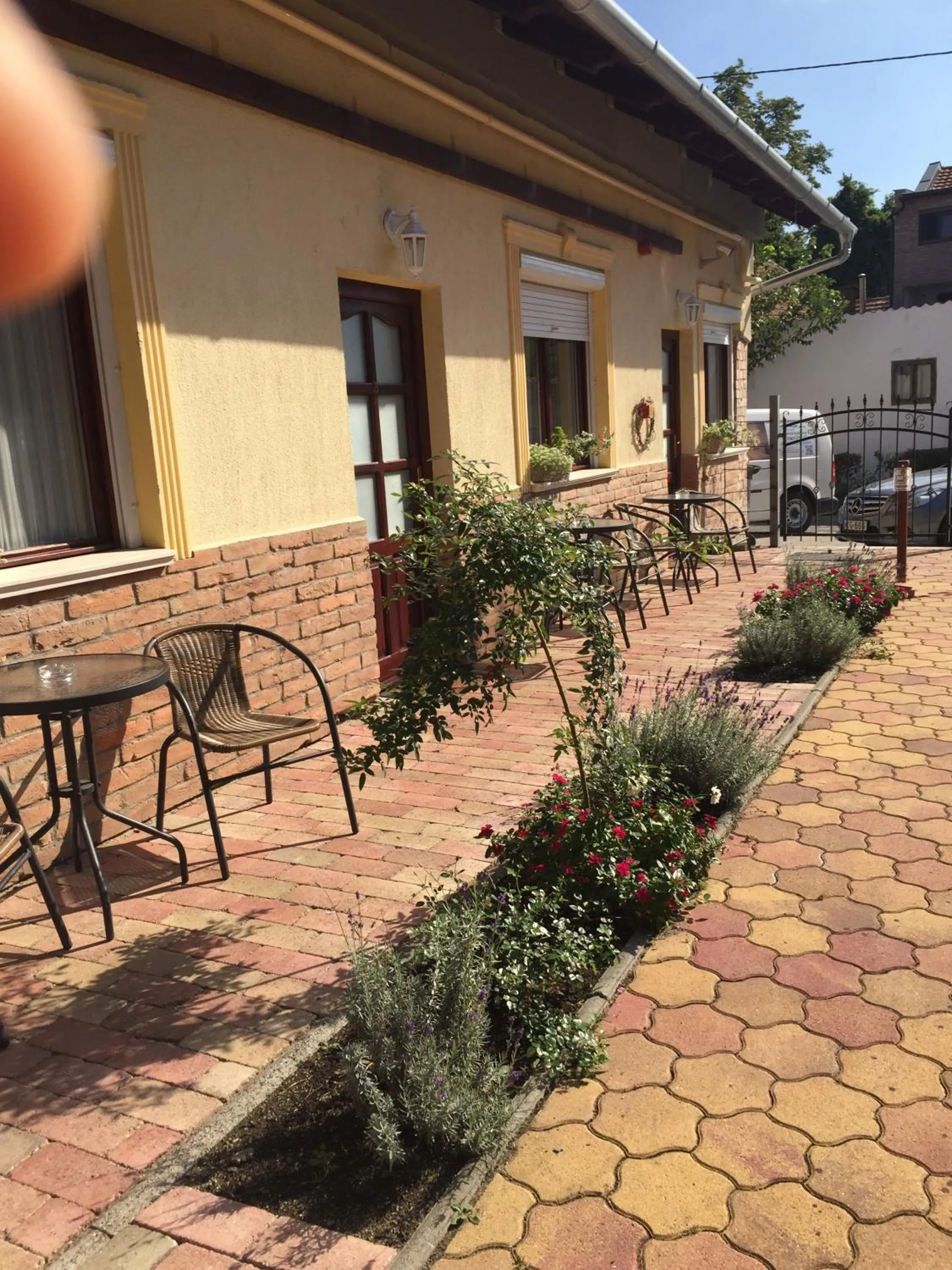 Garden in Guest House Romantika Panzio