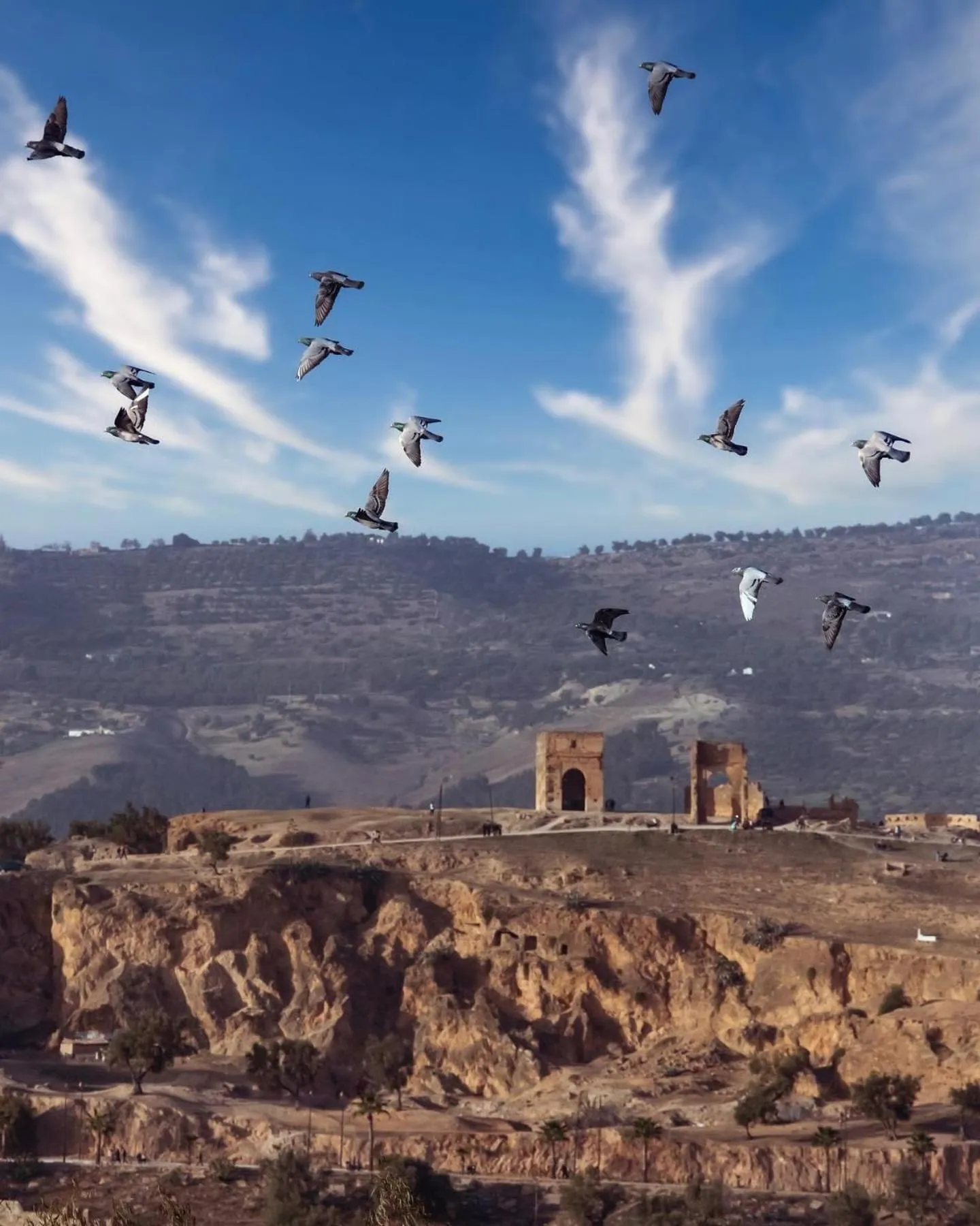 Patio in Riad Dar Tahri & SPA